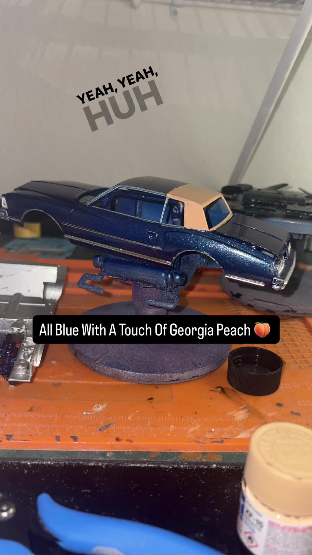 @Tampa Custom Model Carz