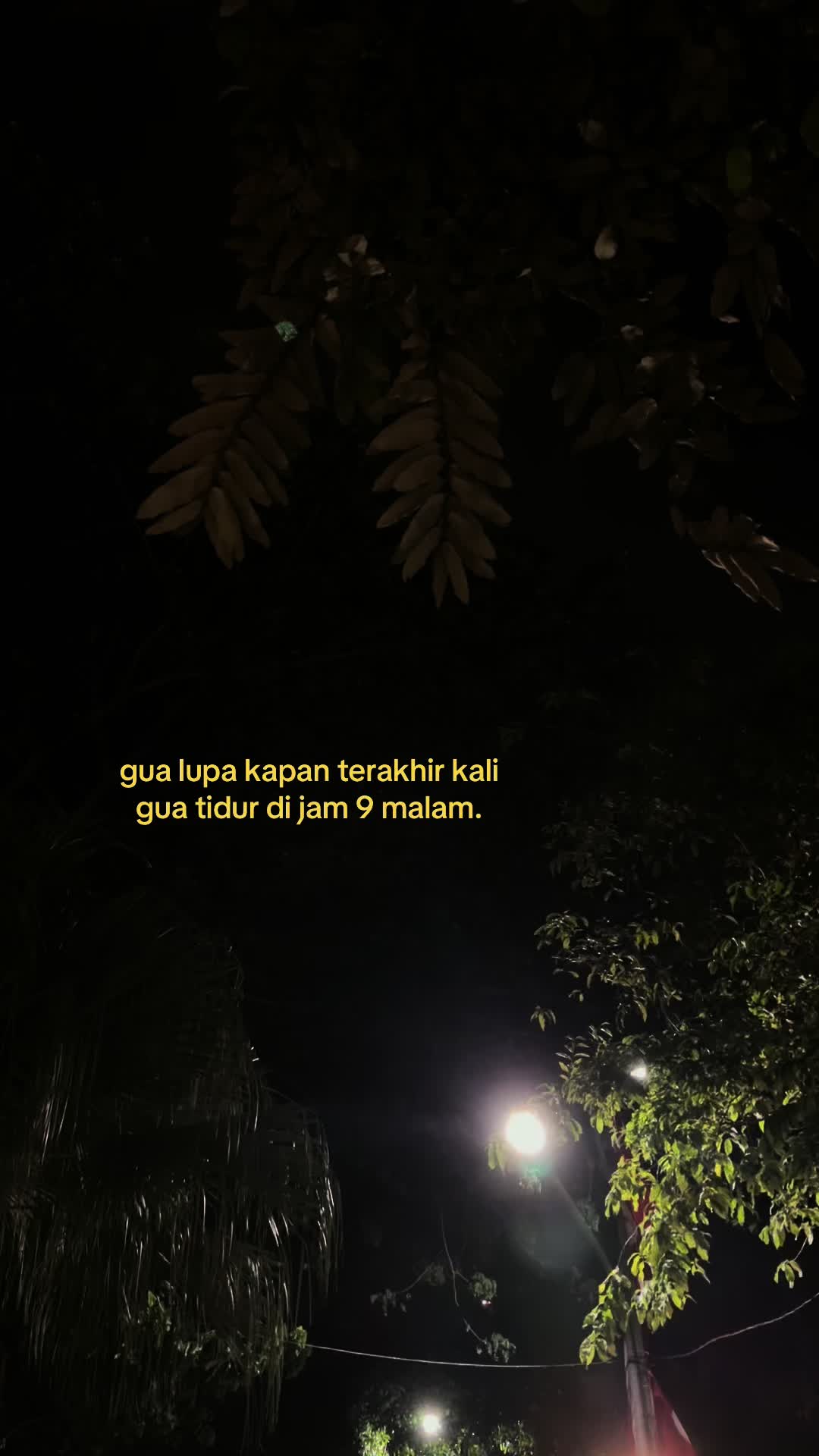 @artupp.