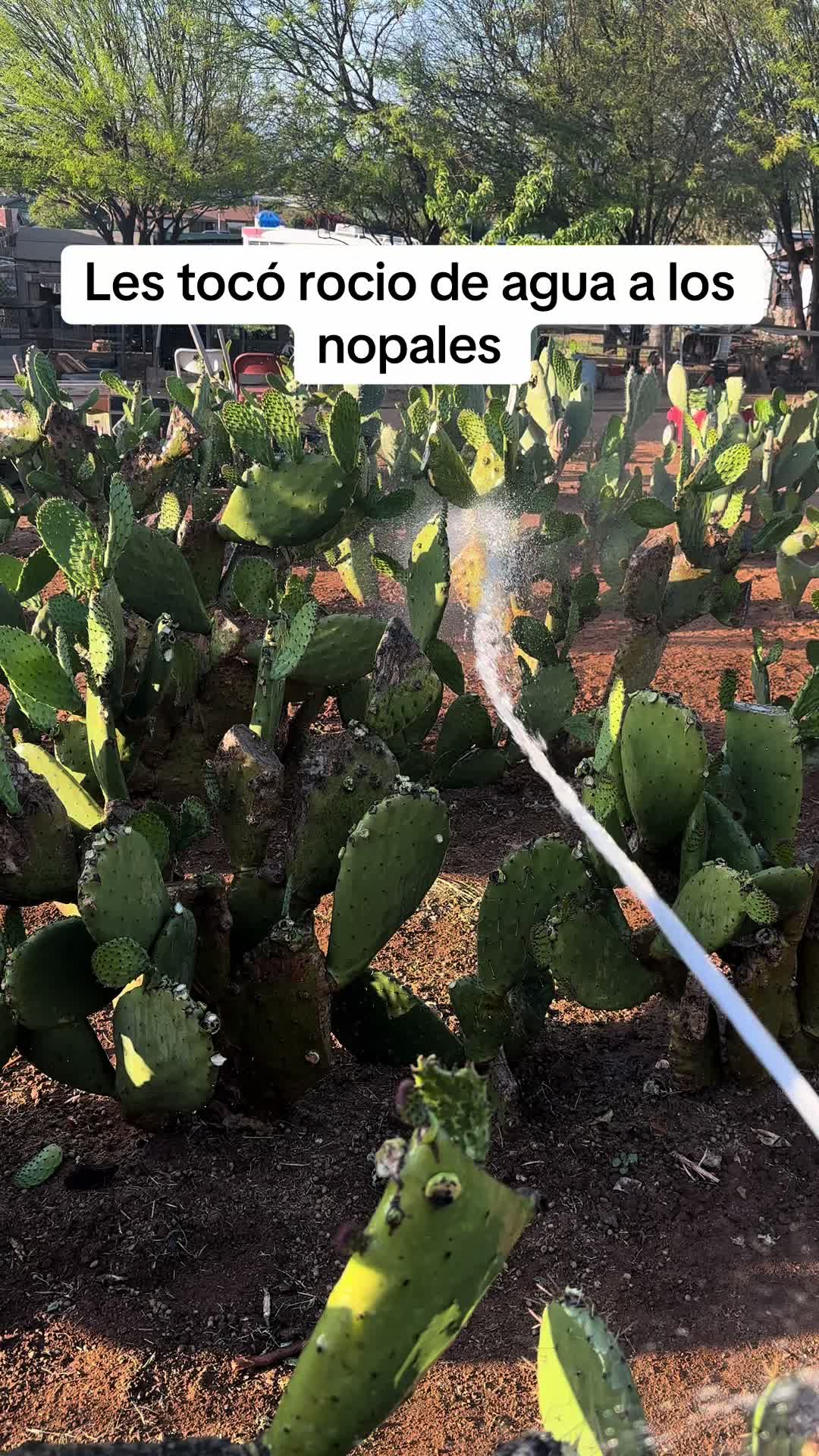 @Adriana Castellanos