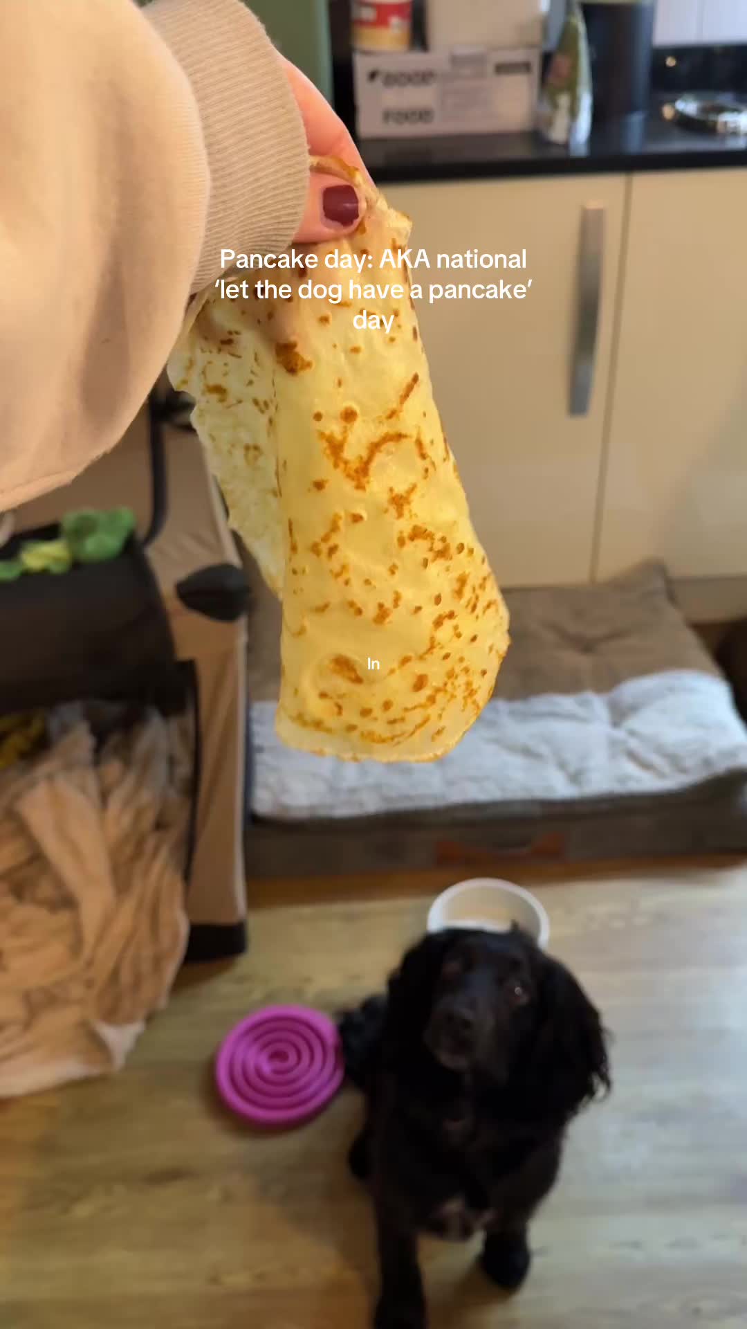 @maggie.moo.cocker