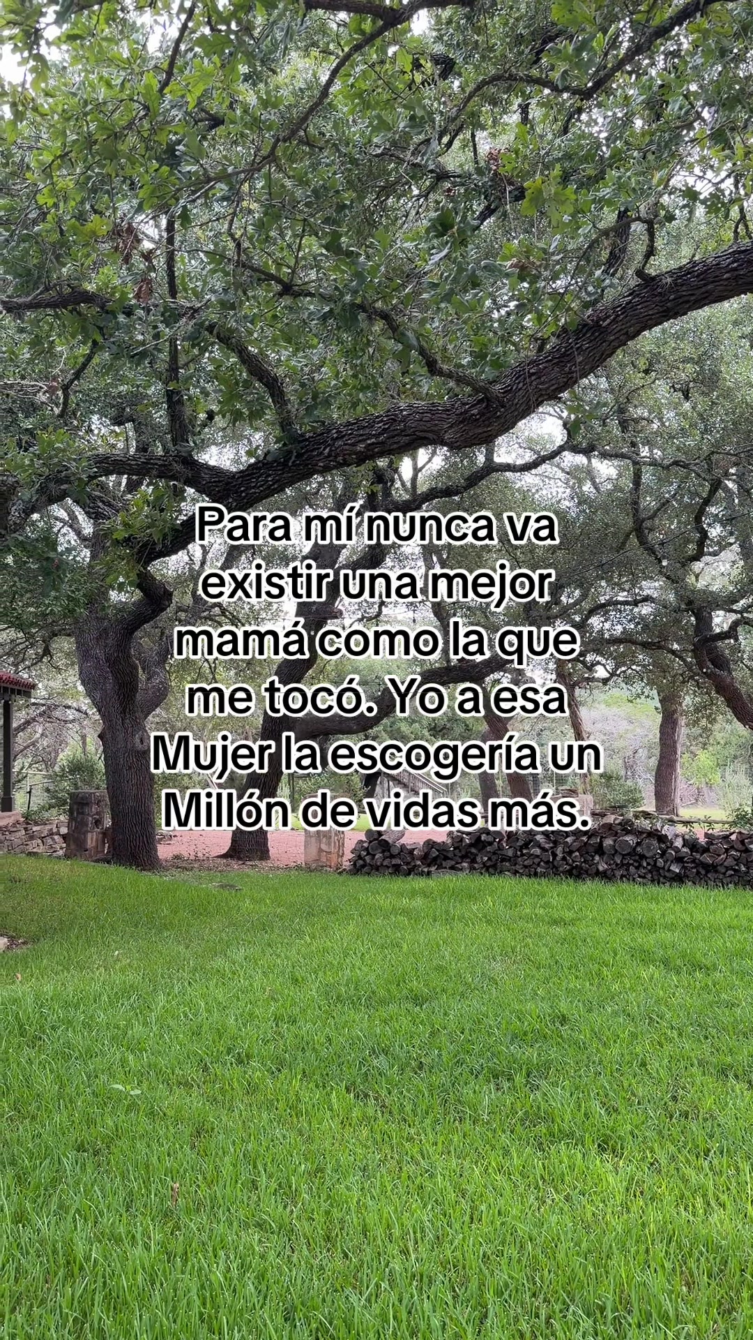 @El Trevol