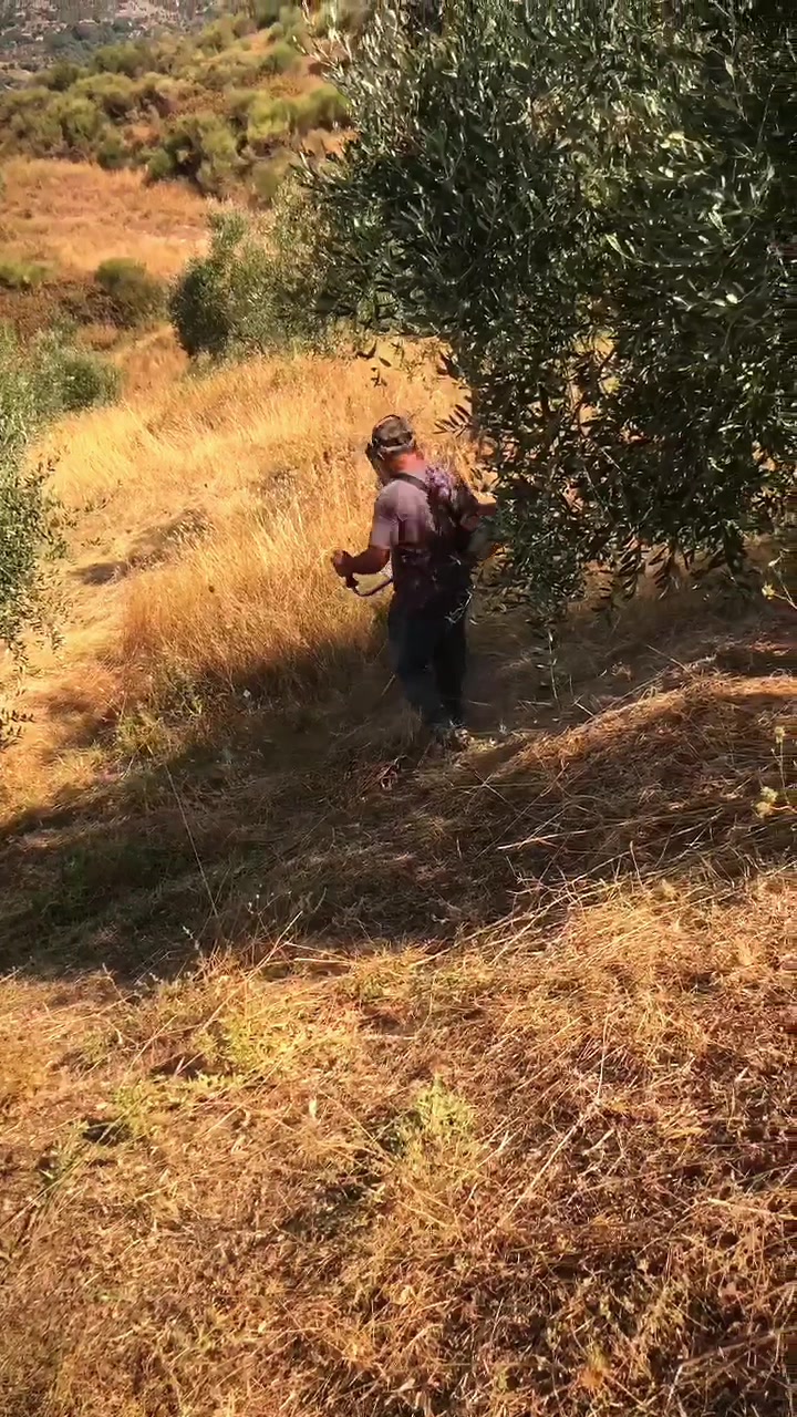 @🌿𝒟𝓇𝓊𝓇𝒾 𝒾 𝒿𝑒𝓉𝑒𝓈🌿