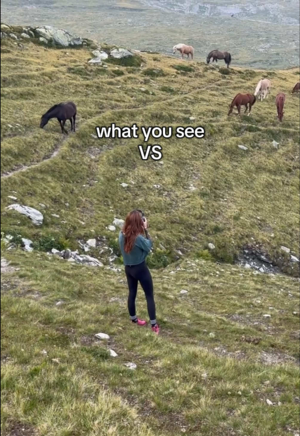@Lorea ☾ Equine Imagery