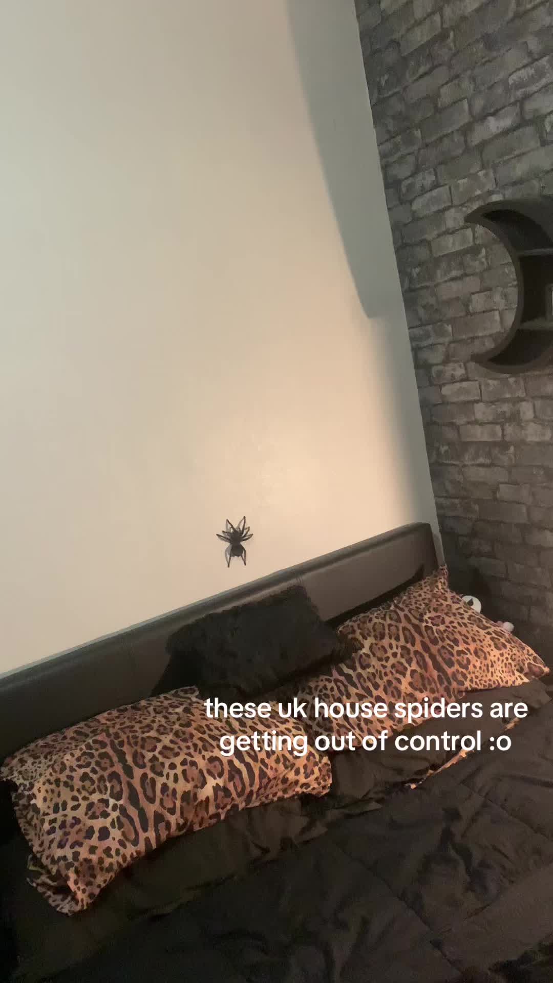 @spectralfawn