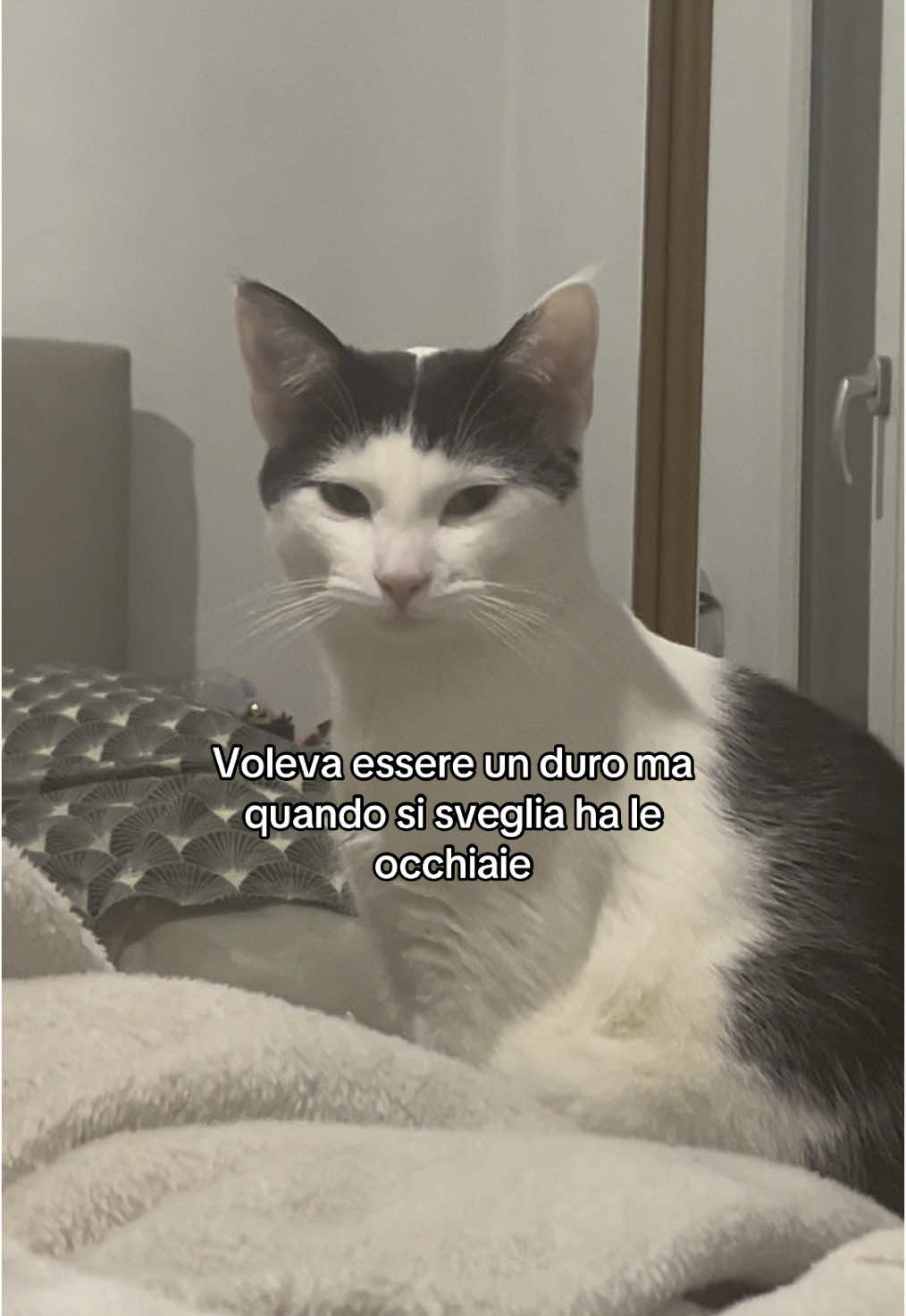 @Diletta Galea