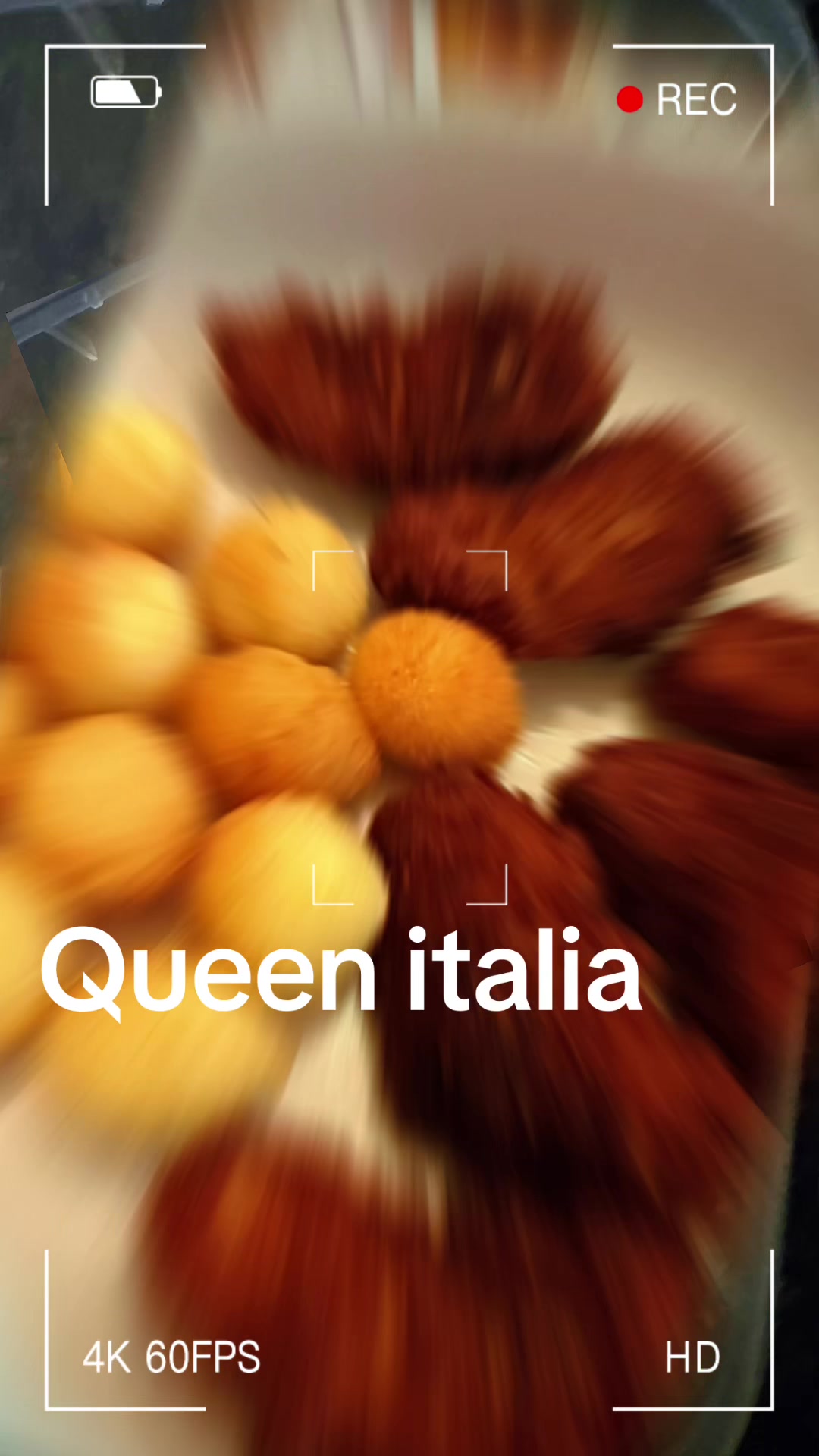 @Maria Agiesti