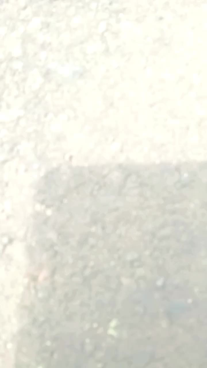 @Zanzzz_🎭