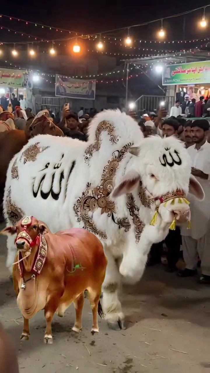 @khan.pti030