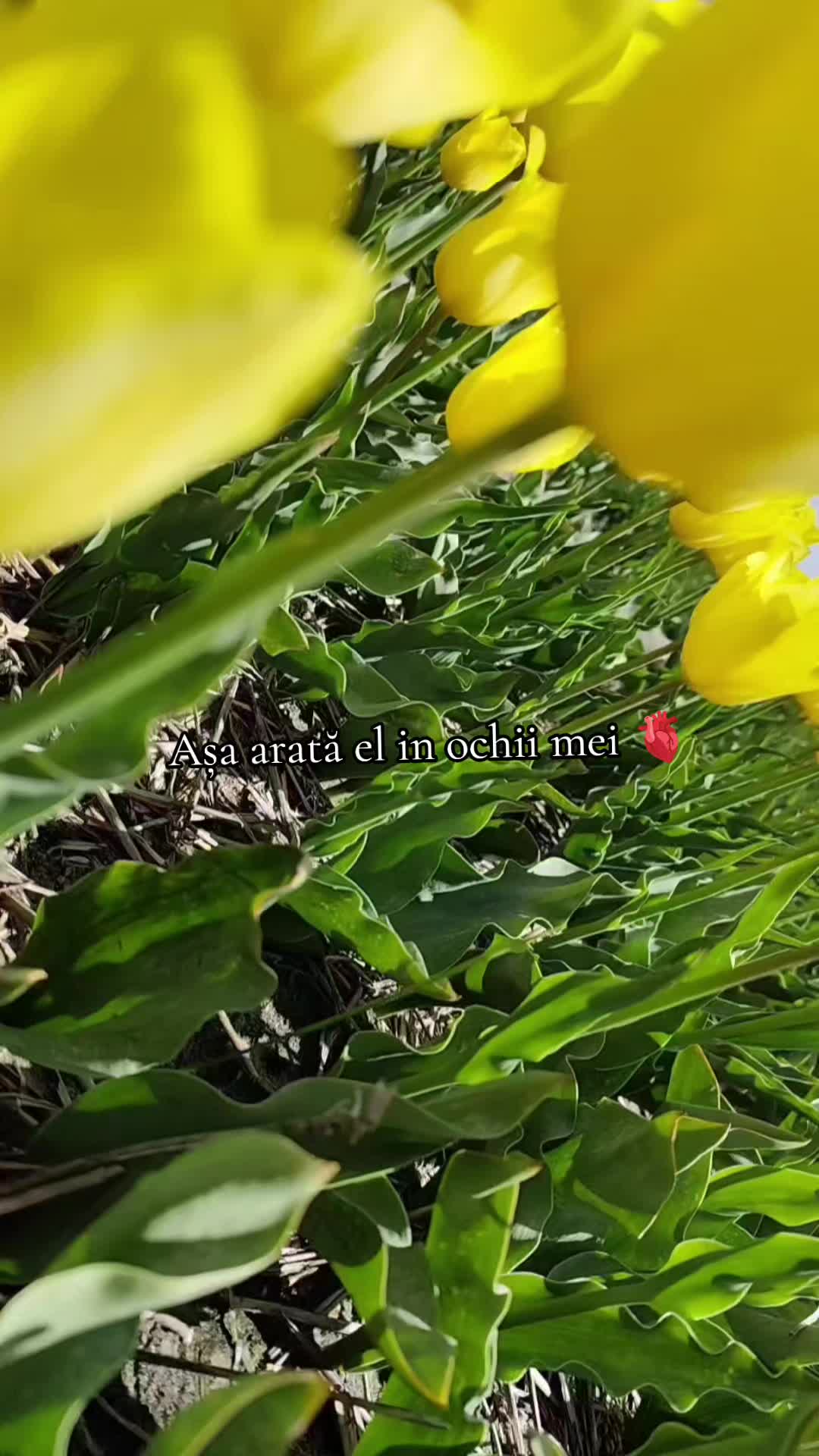 @ღ𝕱𝖑𝖔𝖗𝖞ღ