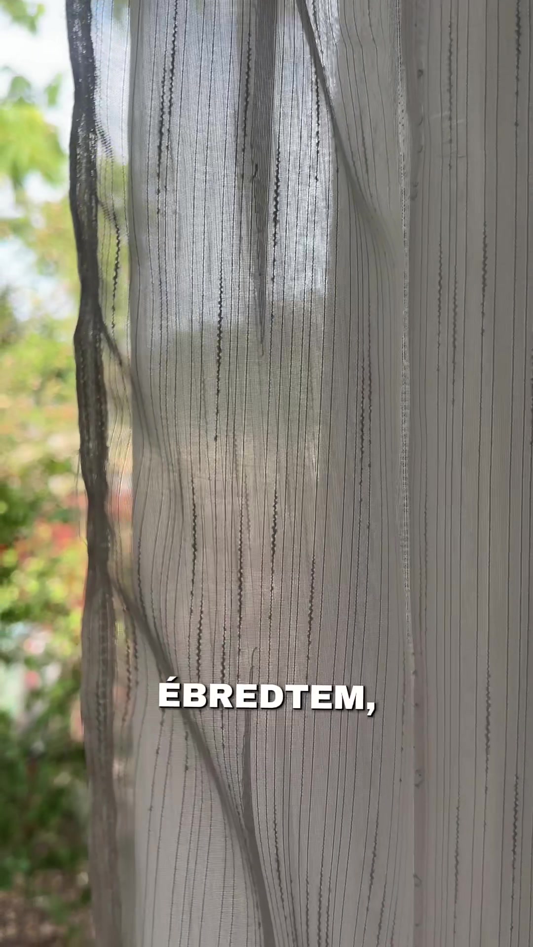@B A R B I E D I X O N