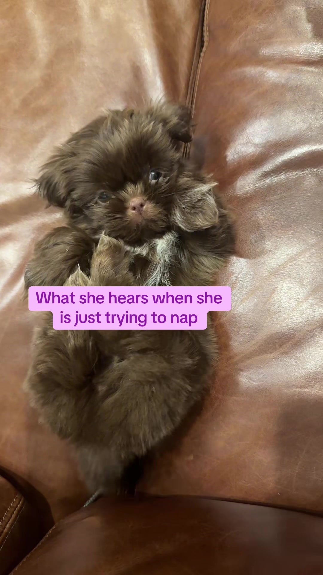 @Brookelyn