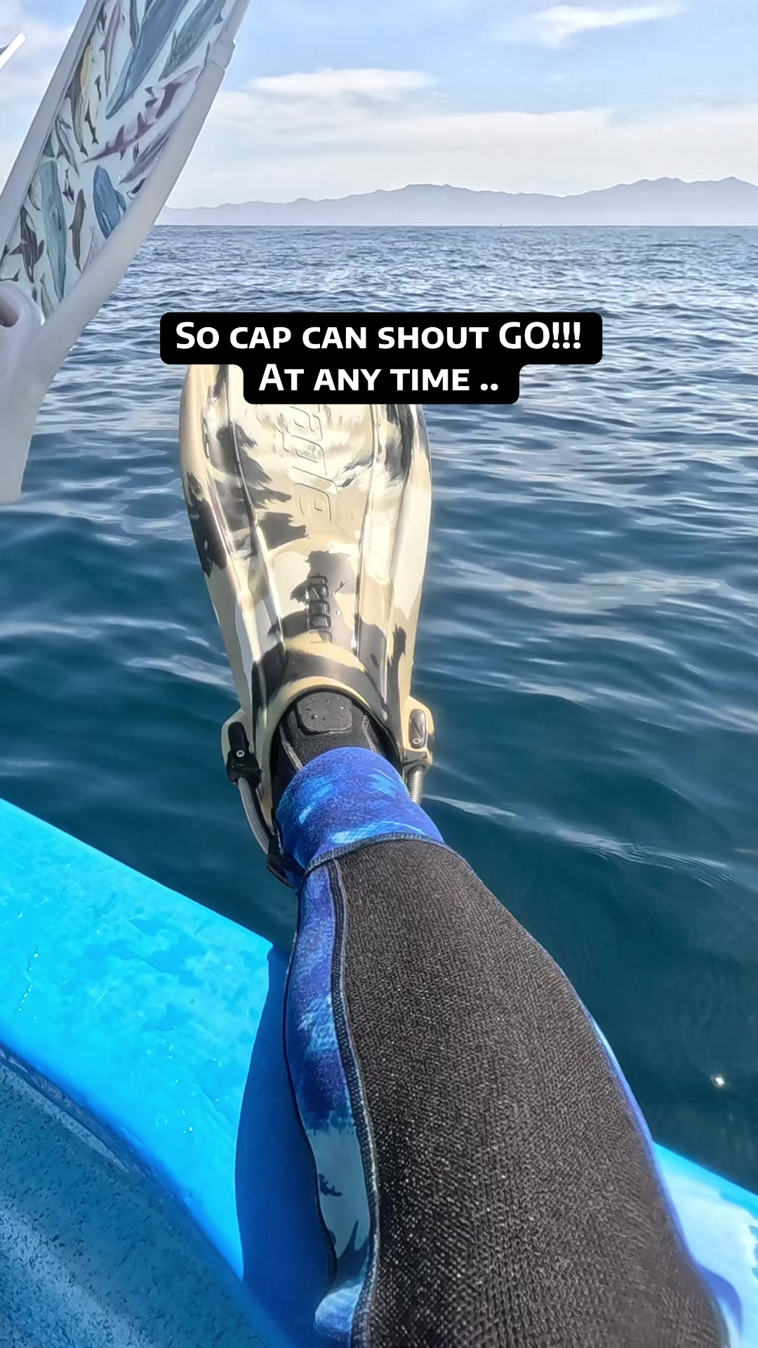 @SCUBA DAN 🦈