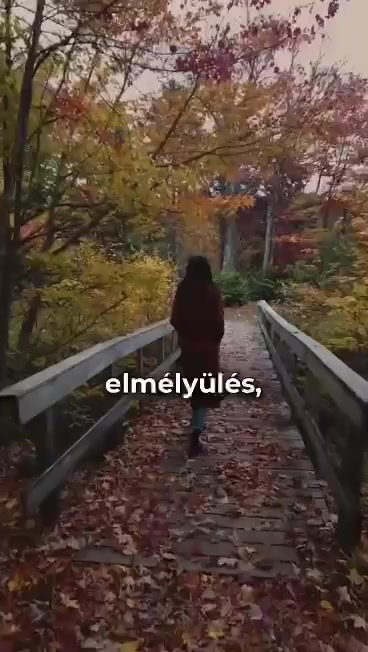 @Csernák Mester