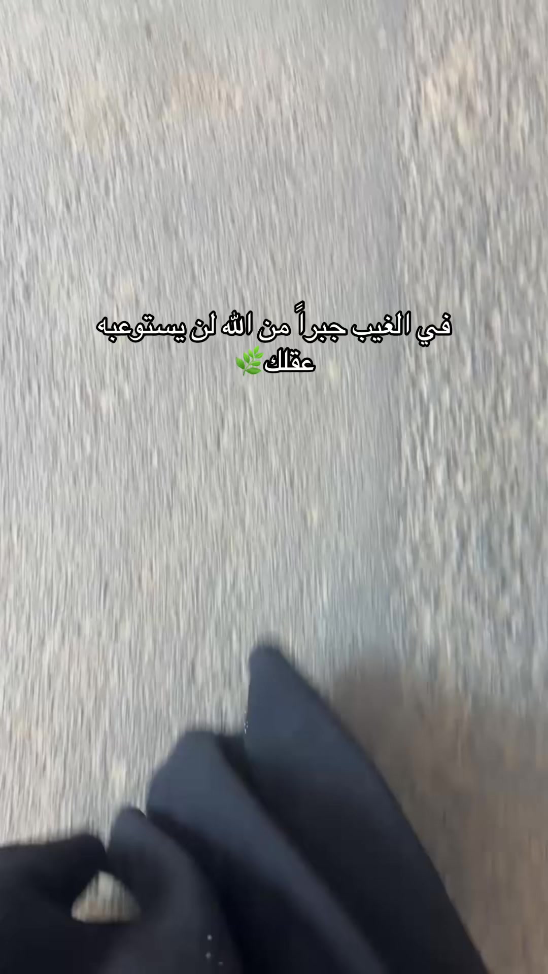 @جوري المدخلي