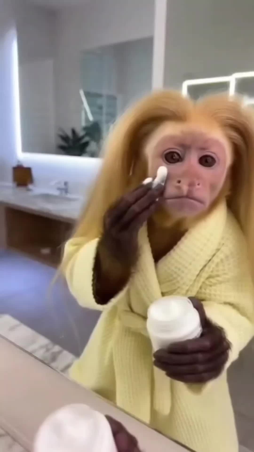@Giovanna