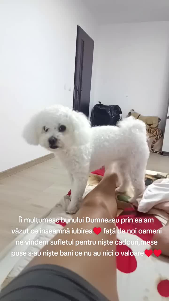 @Ciotârcă Ovidiu!