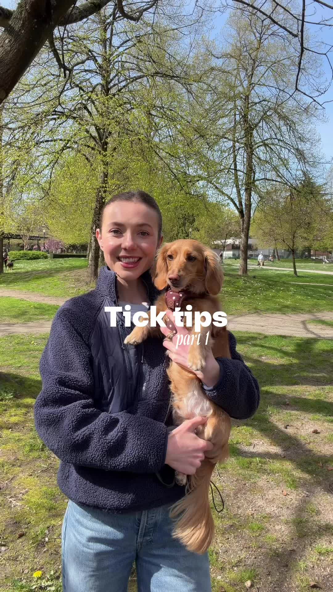 @cashewdachshund