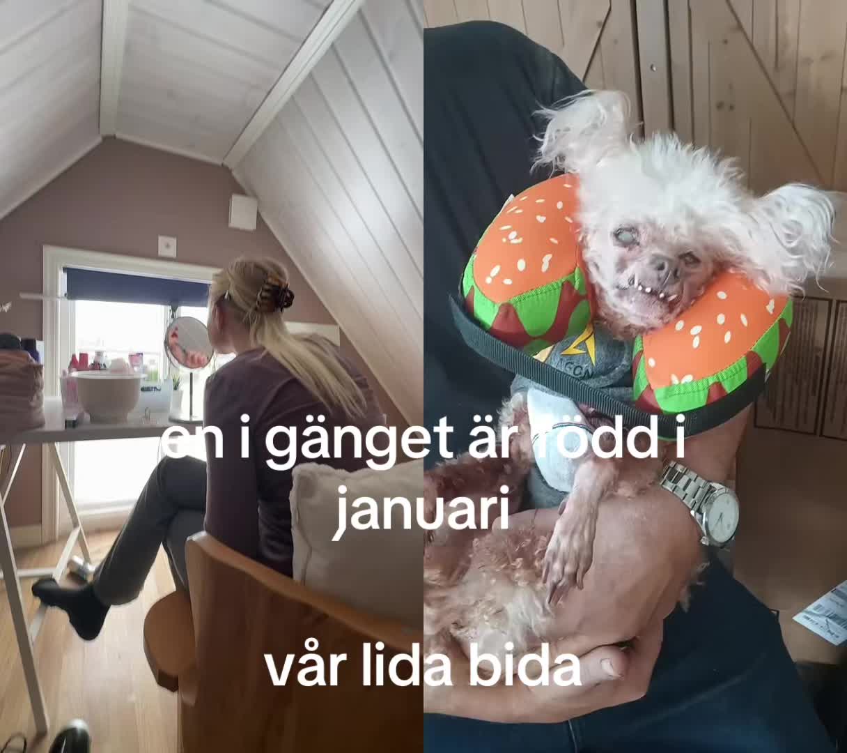 @majas hemlis