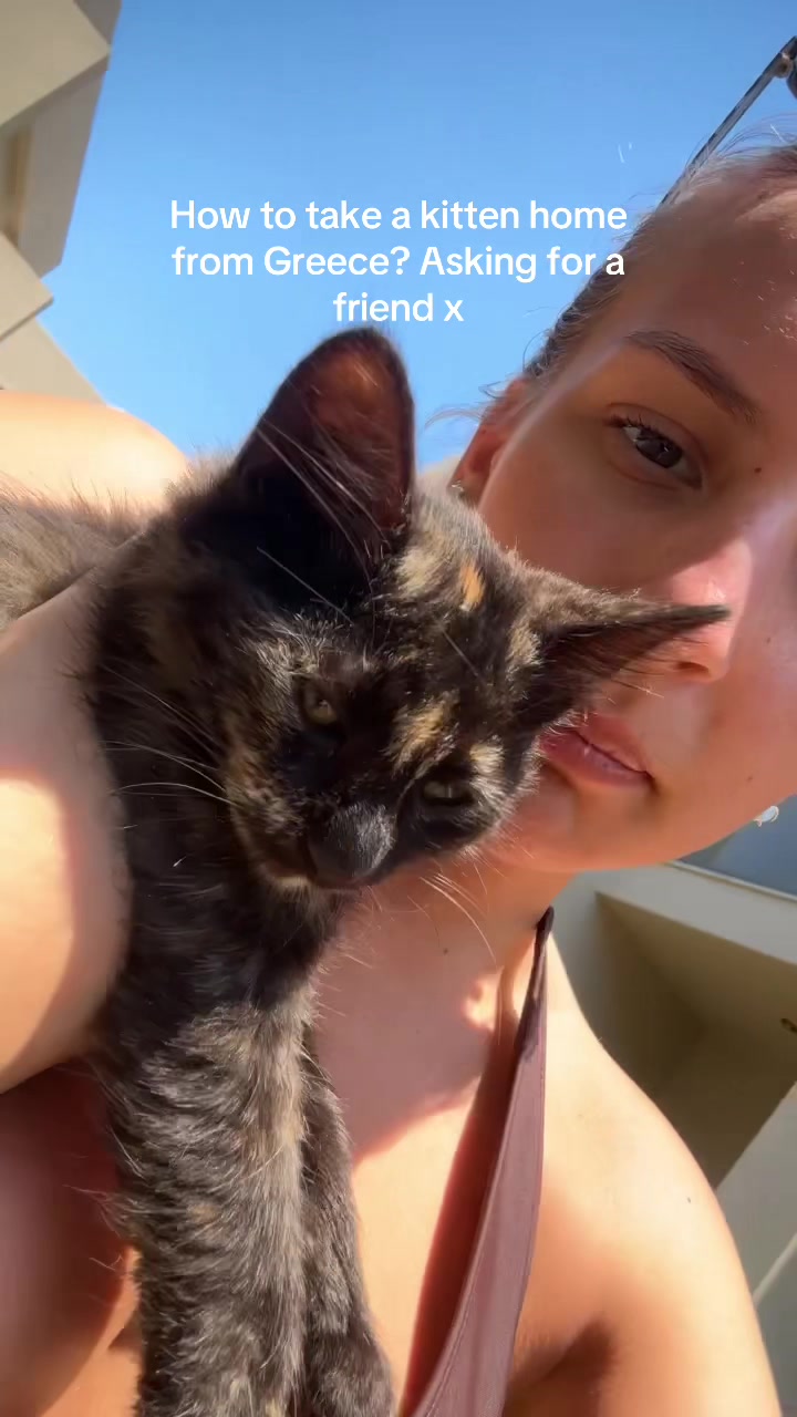 @Abi🍯