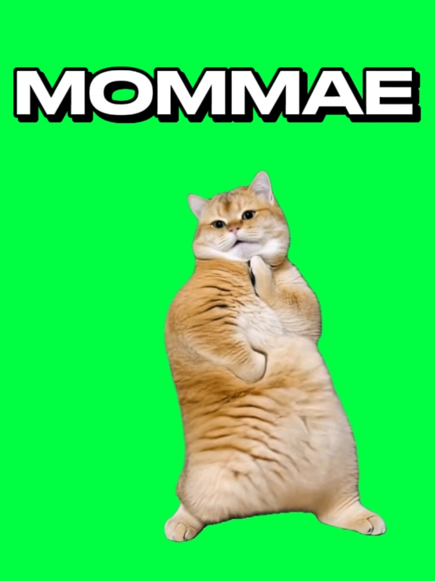 @MemeScreens
