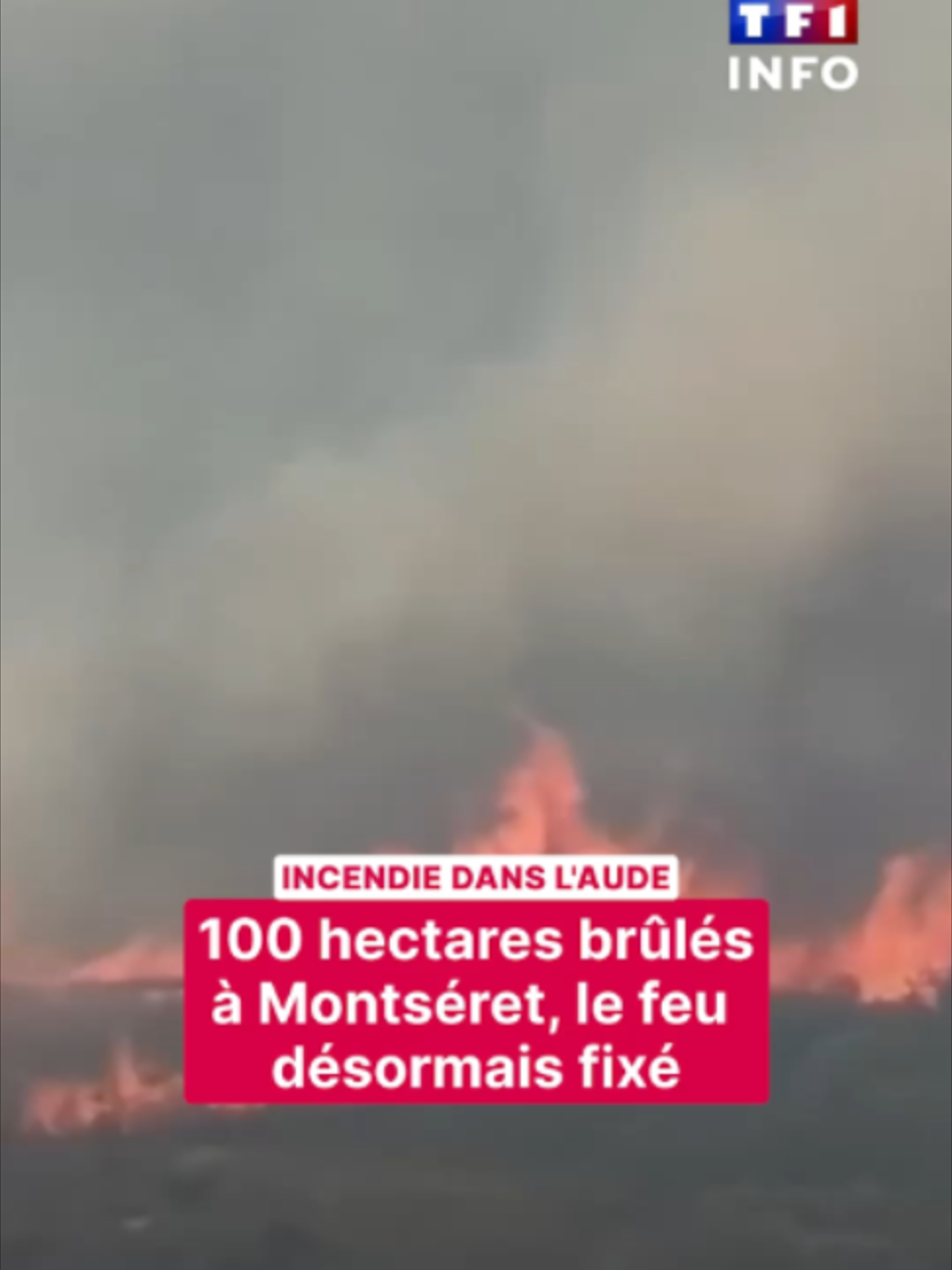 @TF1 INFO