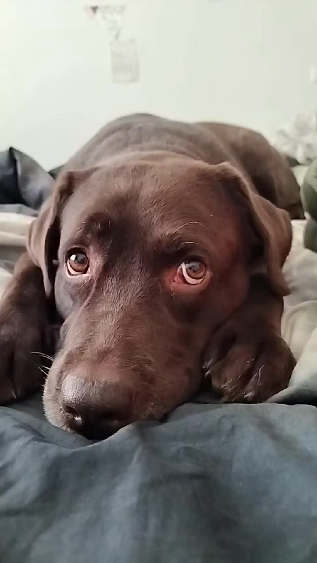 @๐ค ๐๐ℜ๐๐๐ℑ๐ค