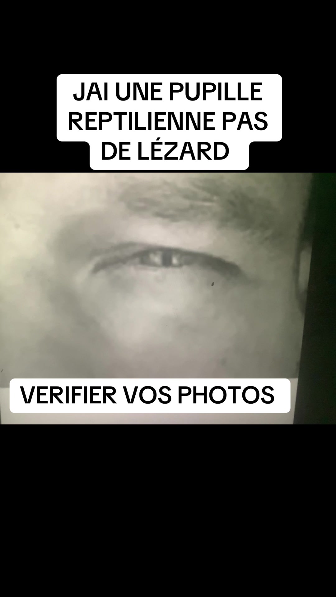 @reptilianpupil10