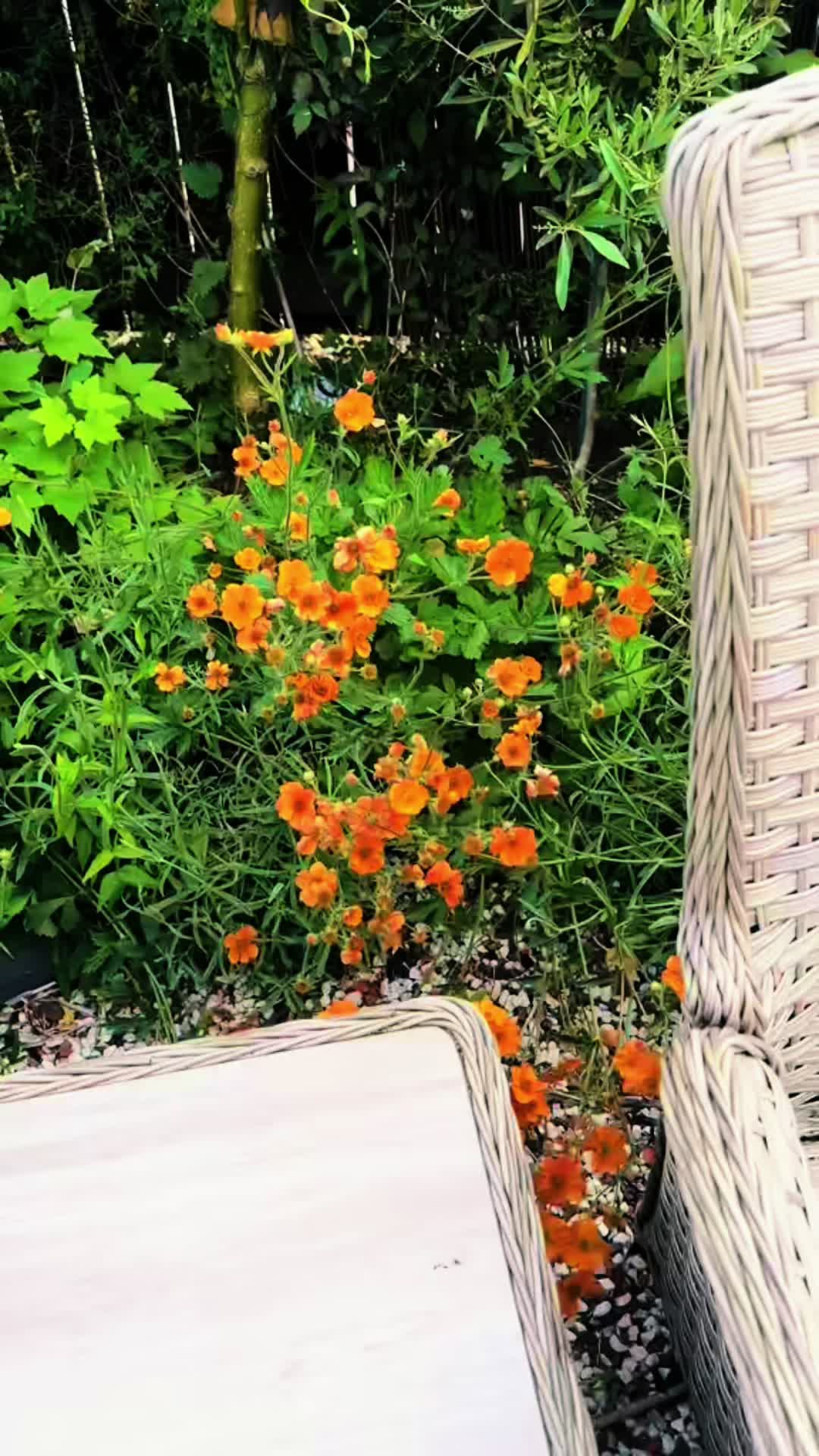 @Hanadi هنادي