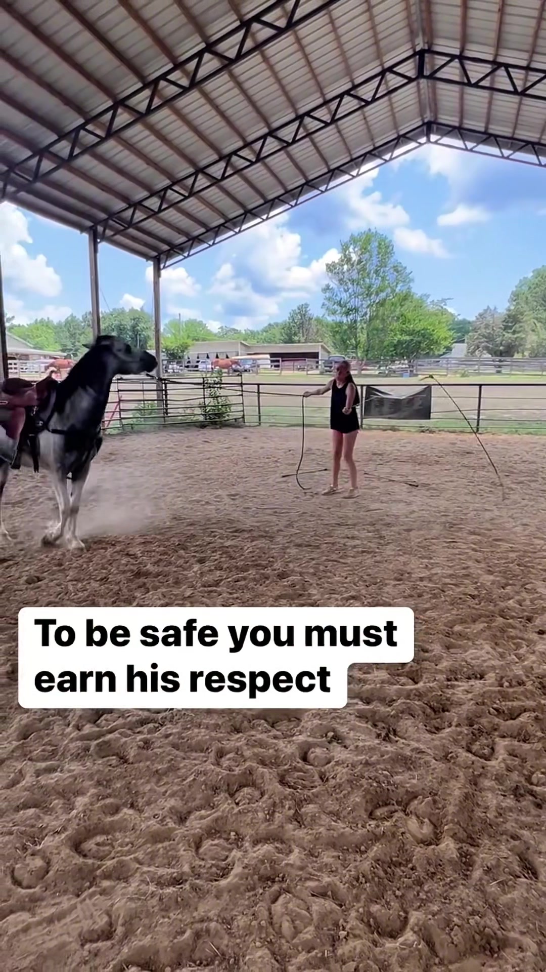 @MS Horse Rescue