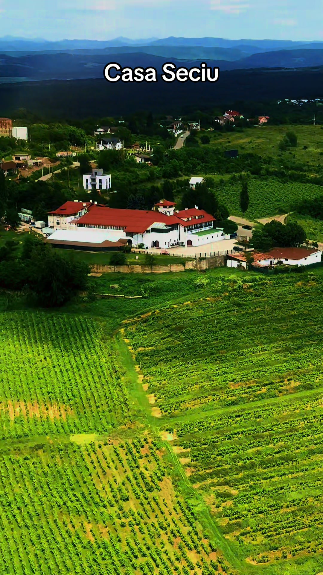 @Ioan Aviatorul