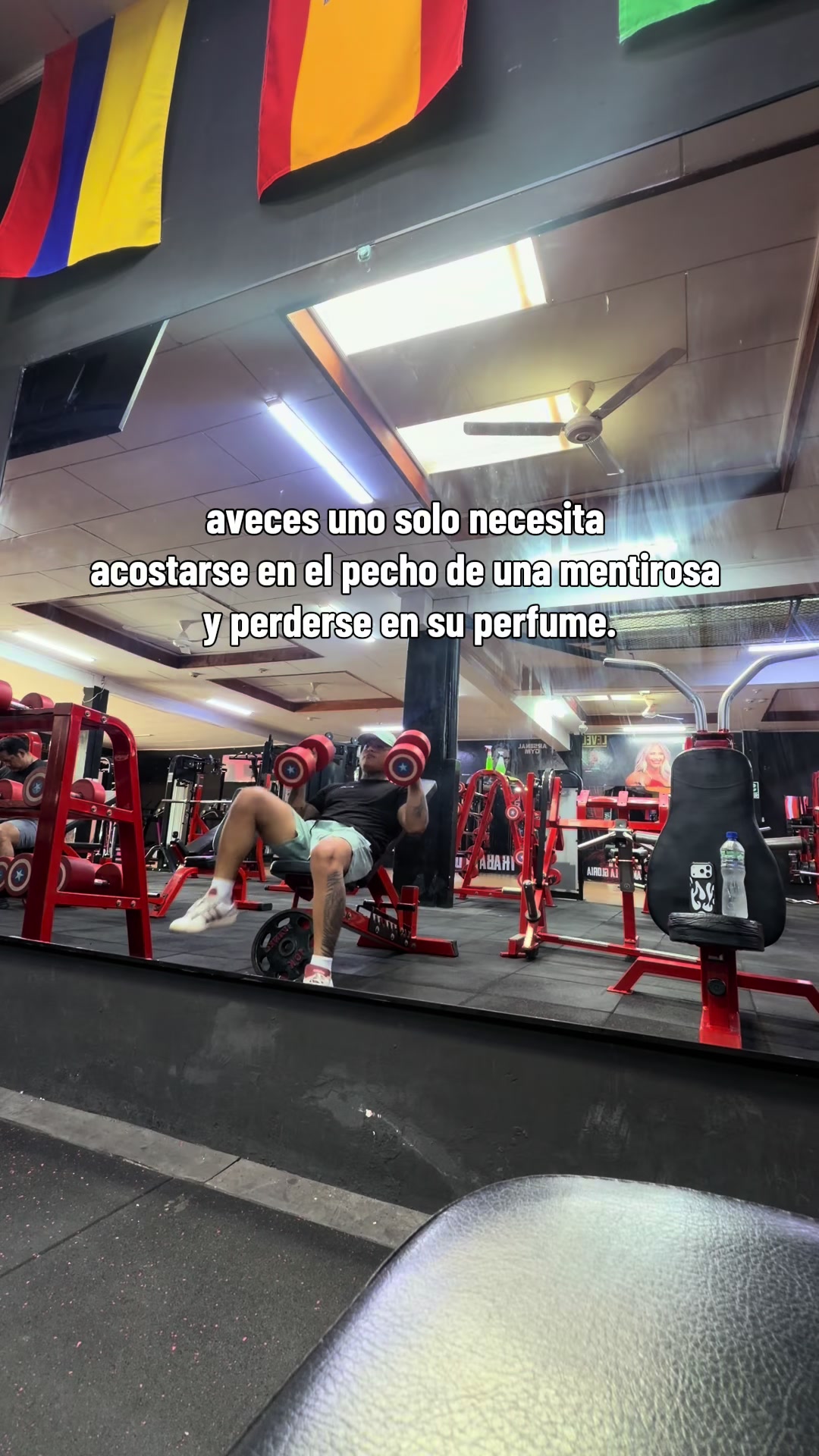 @André Diaz Pro