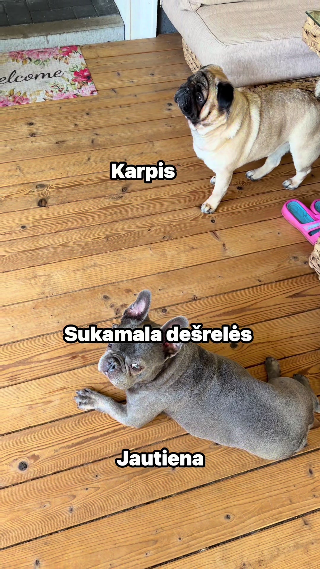 @Rolandas Stonkus