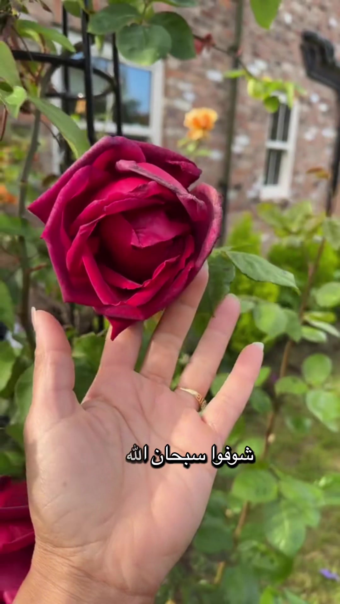 @Hanadi هنادي
