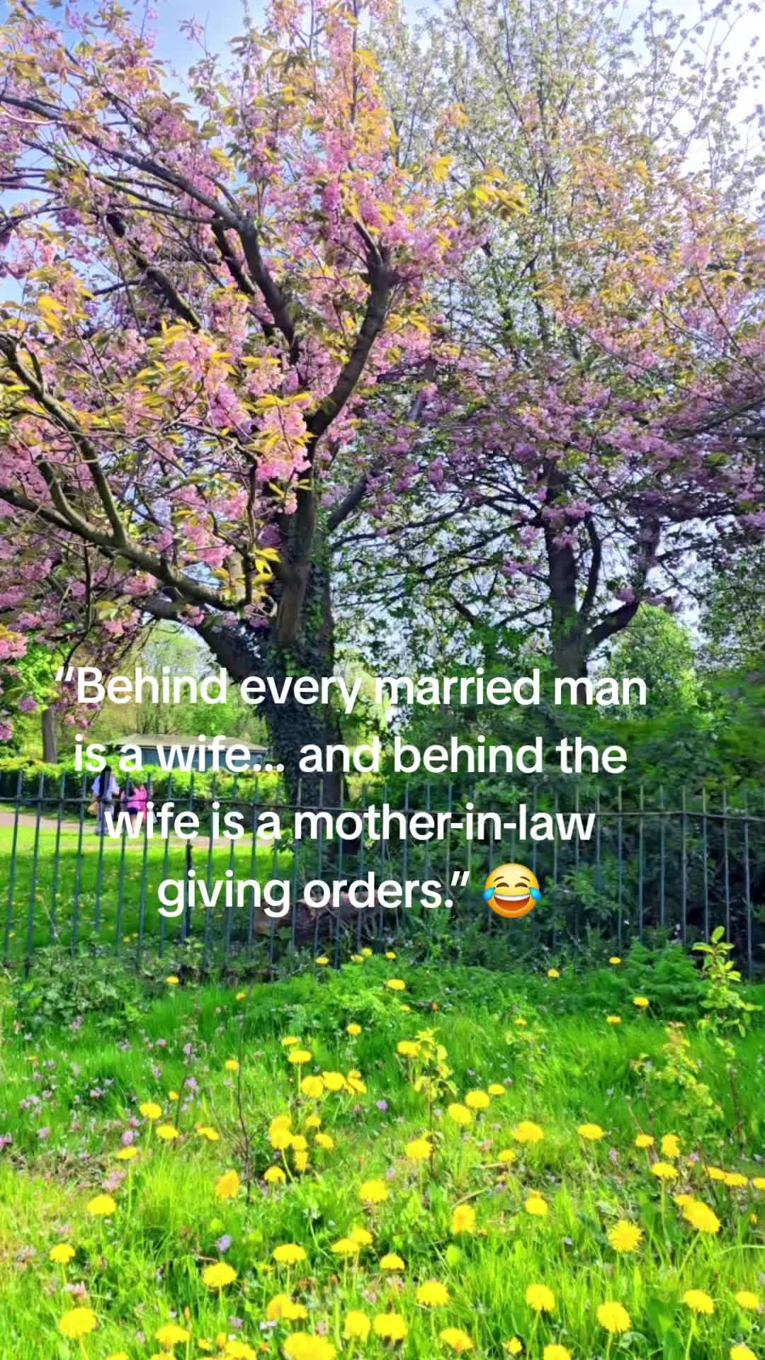 @Z_P_H_M_A_C_6🇬🇧🇵🇰🇷🇴