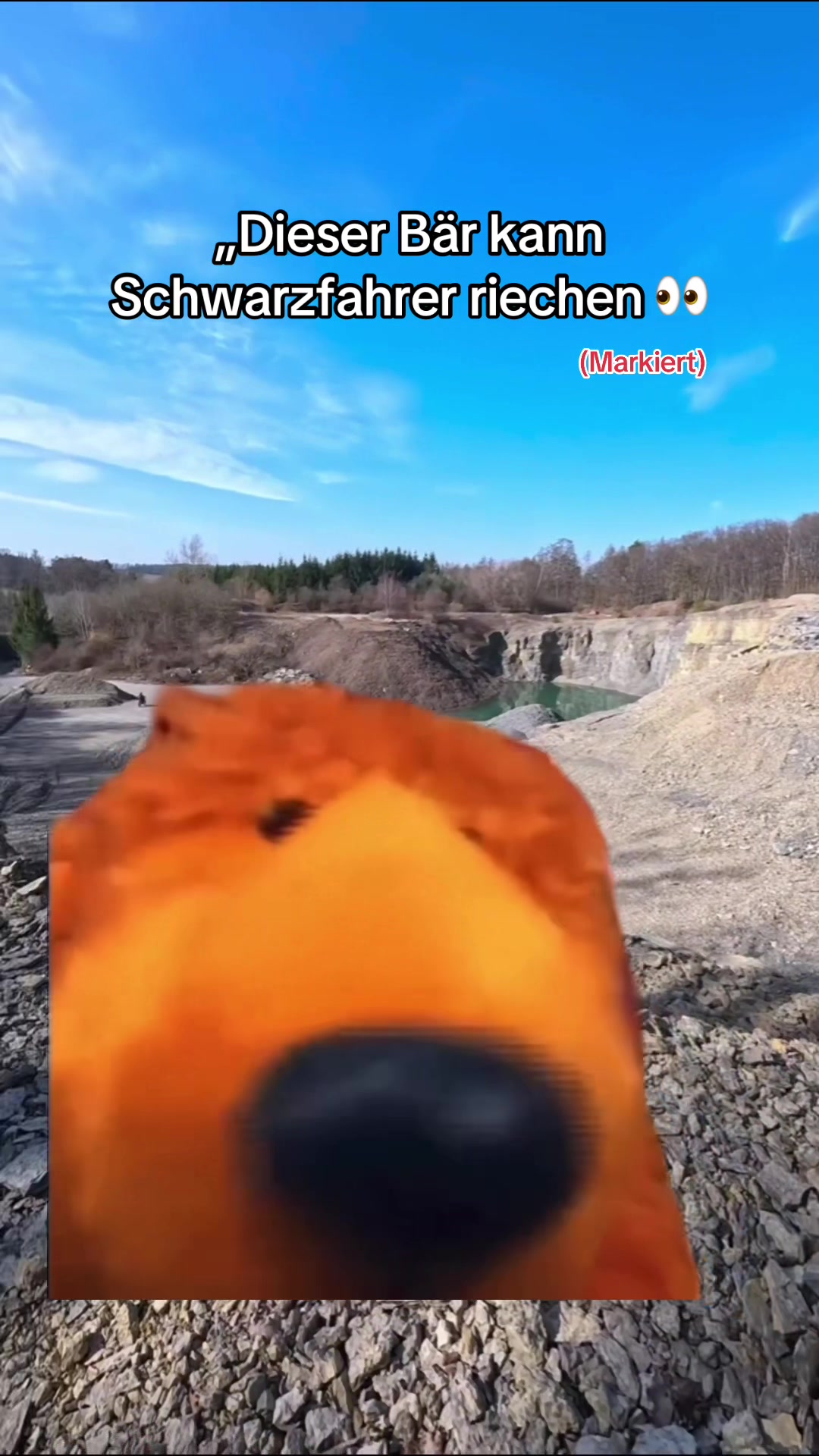 @Der_Tote_Junge