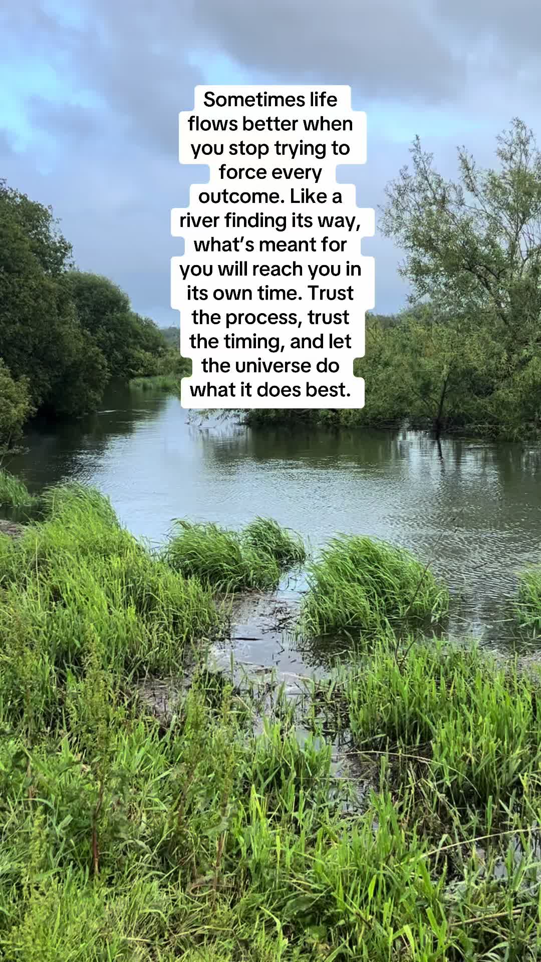 @healingheartsholistics