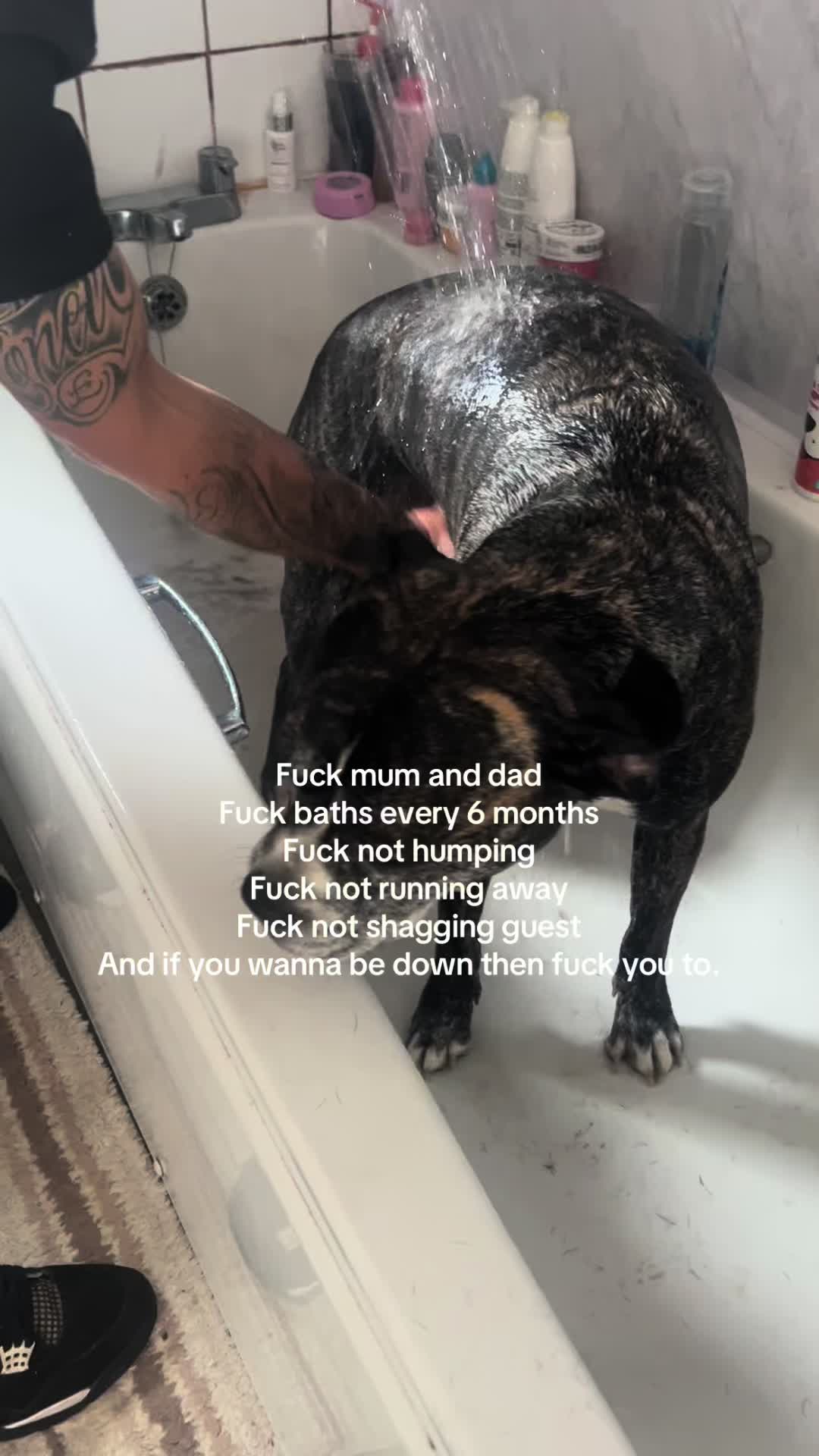 @Soph.webb2000