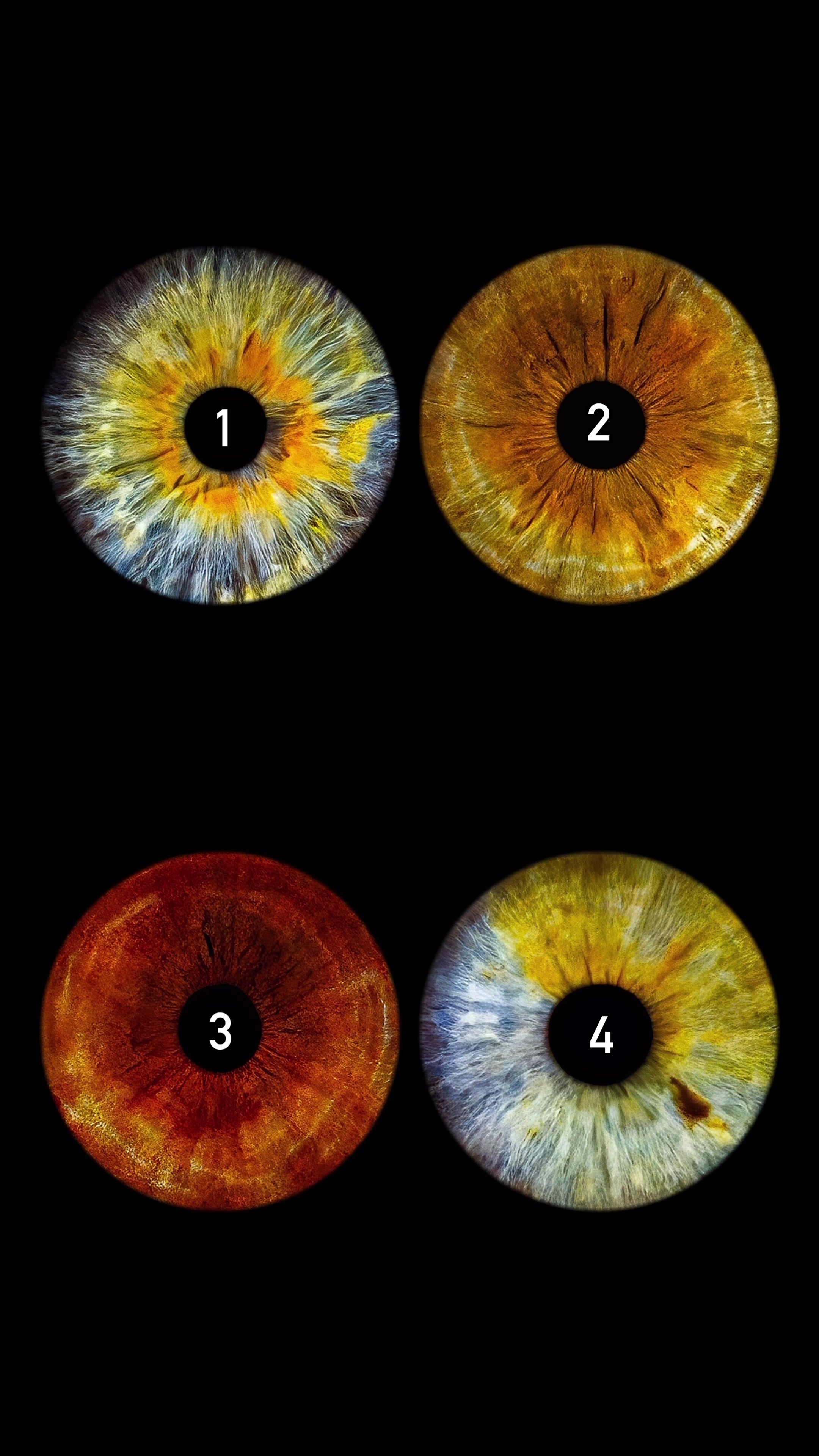 @Eyepic