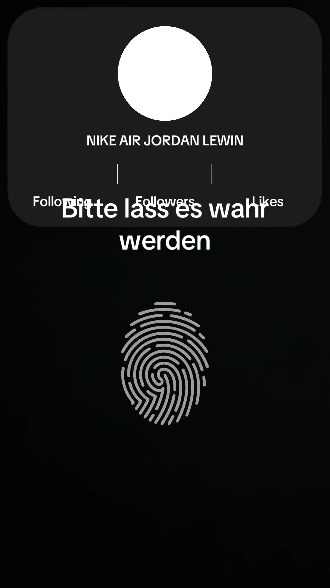 @NIKE AIR JORDAN LEWIN