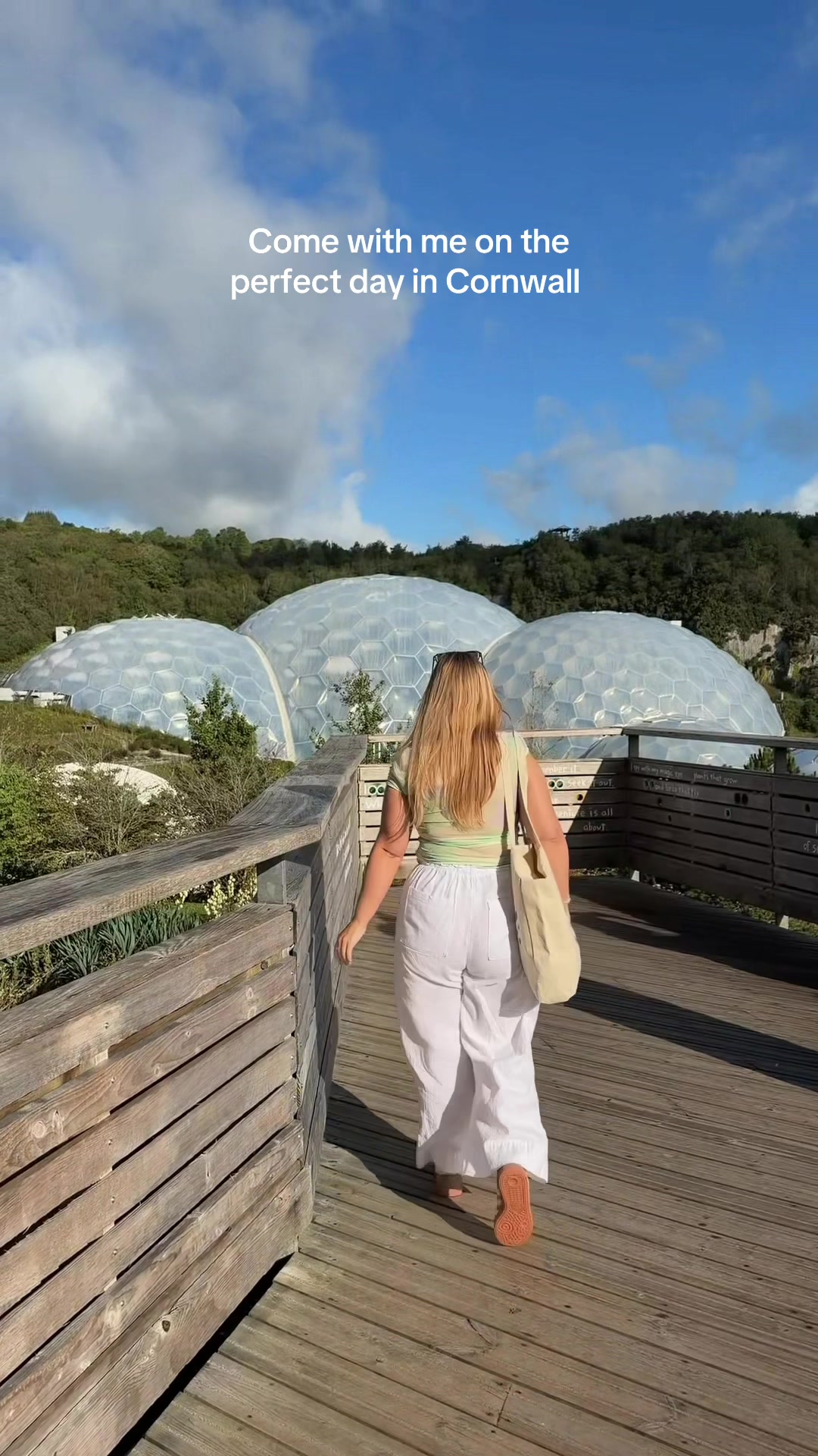 @Polly Frier | Content Creator