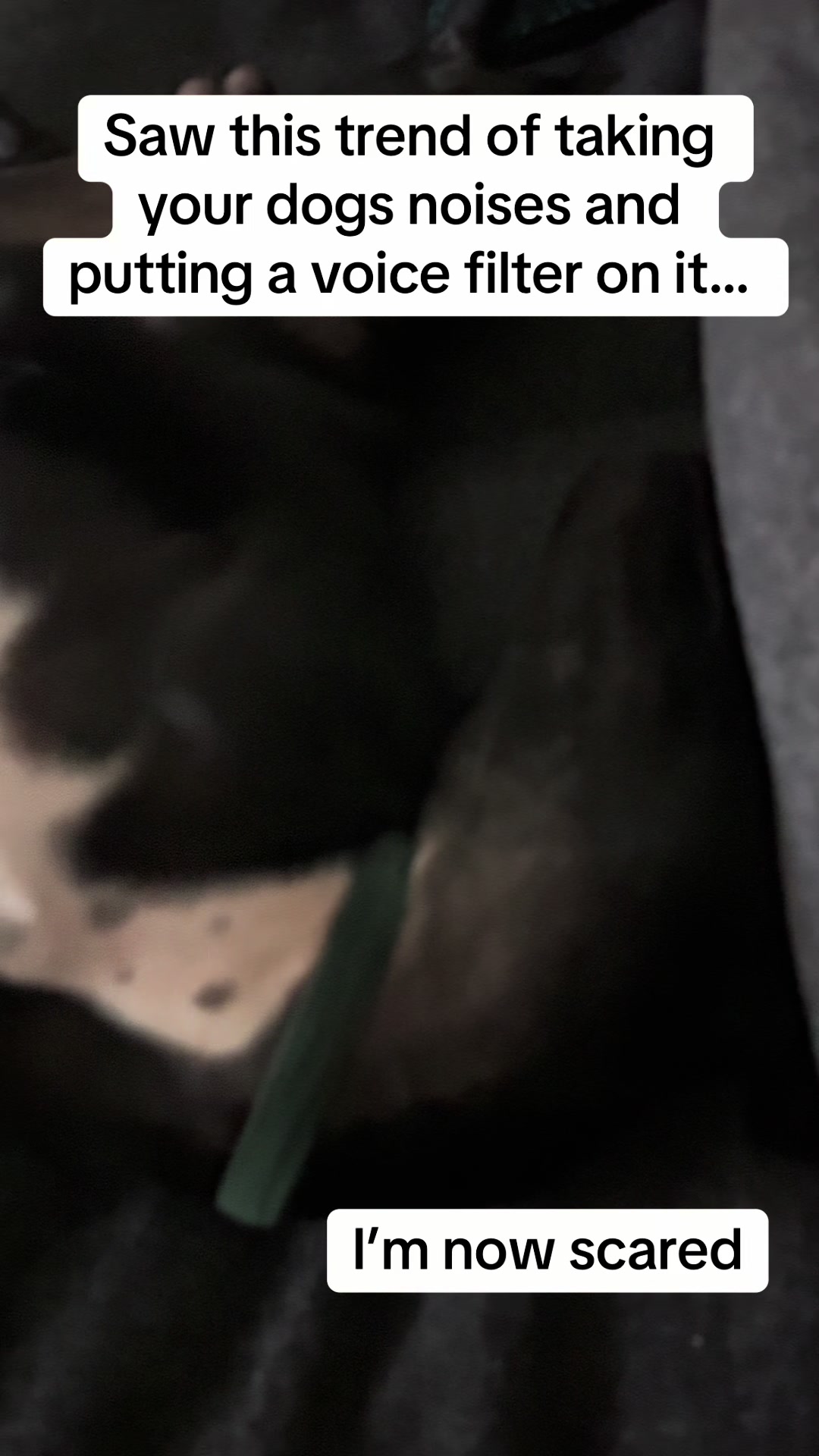 @StopImAlreadyDan