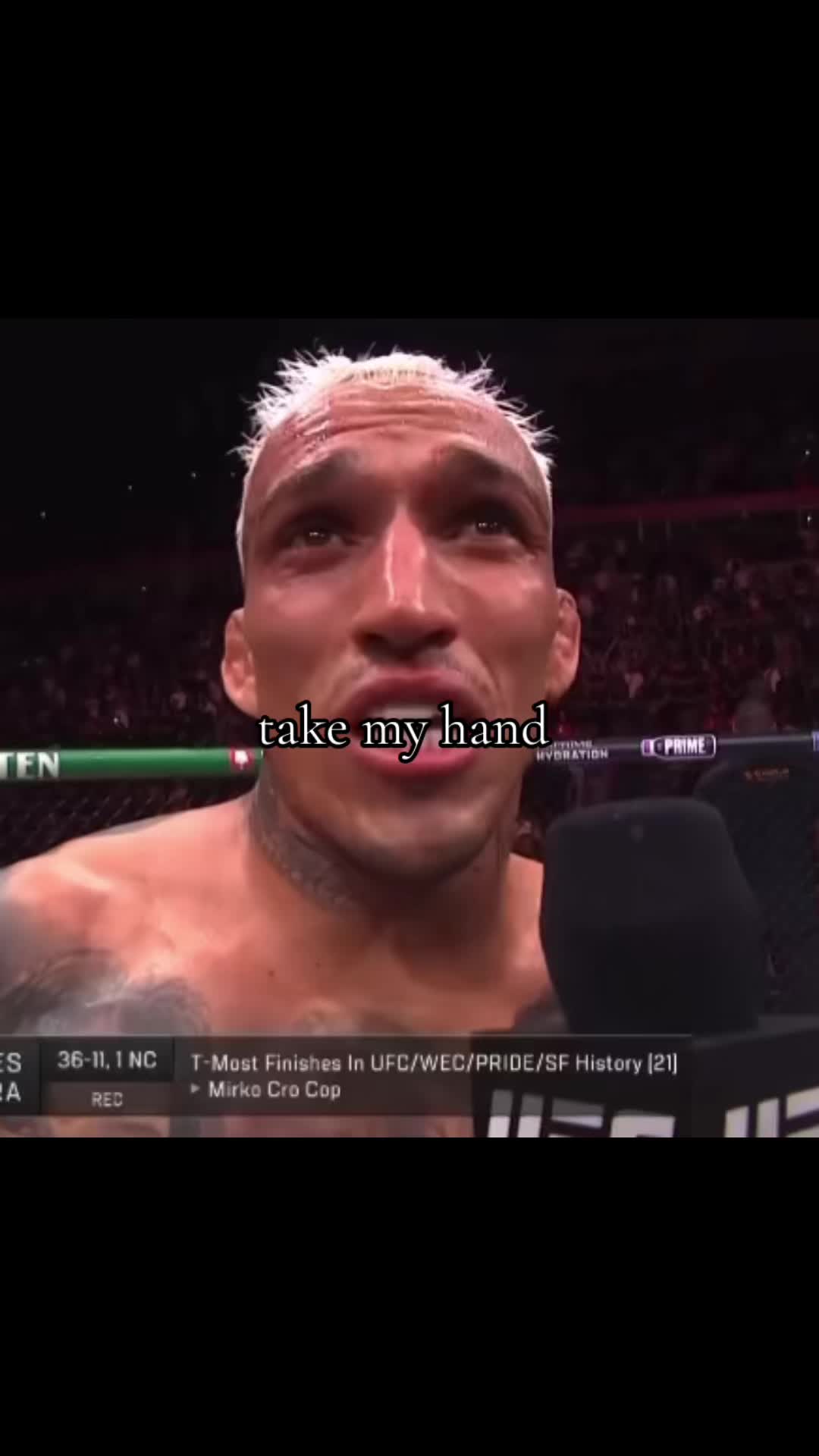 @shamilkanovski