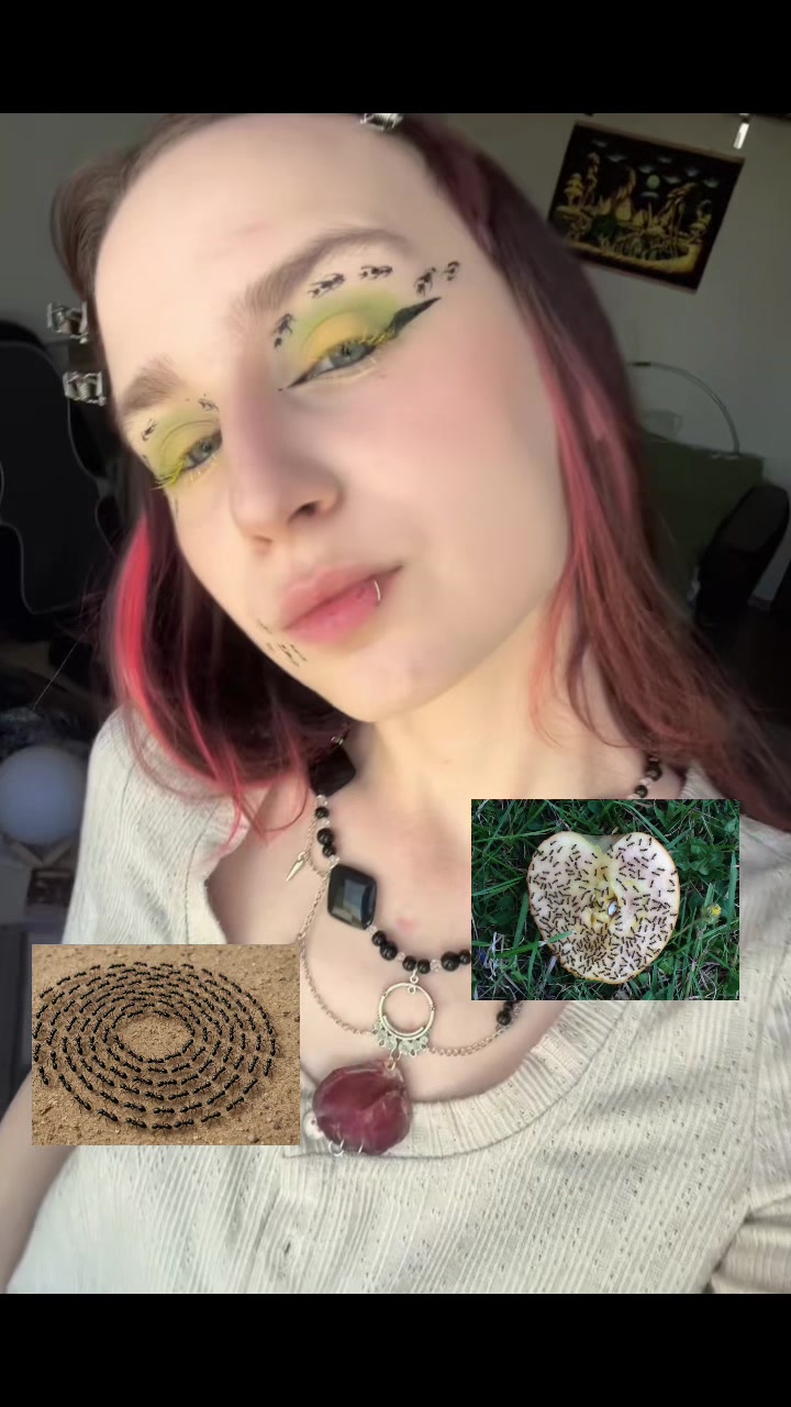 @arleKINN