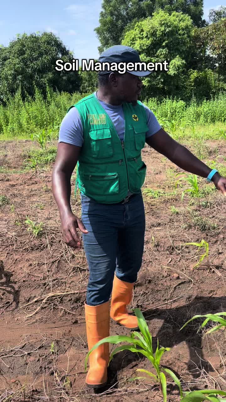 @BabaObaTv @Yuki Agro limited