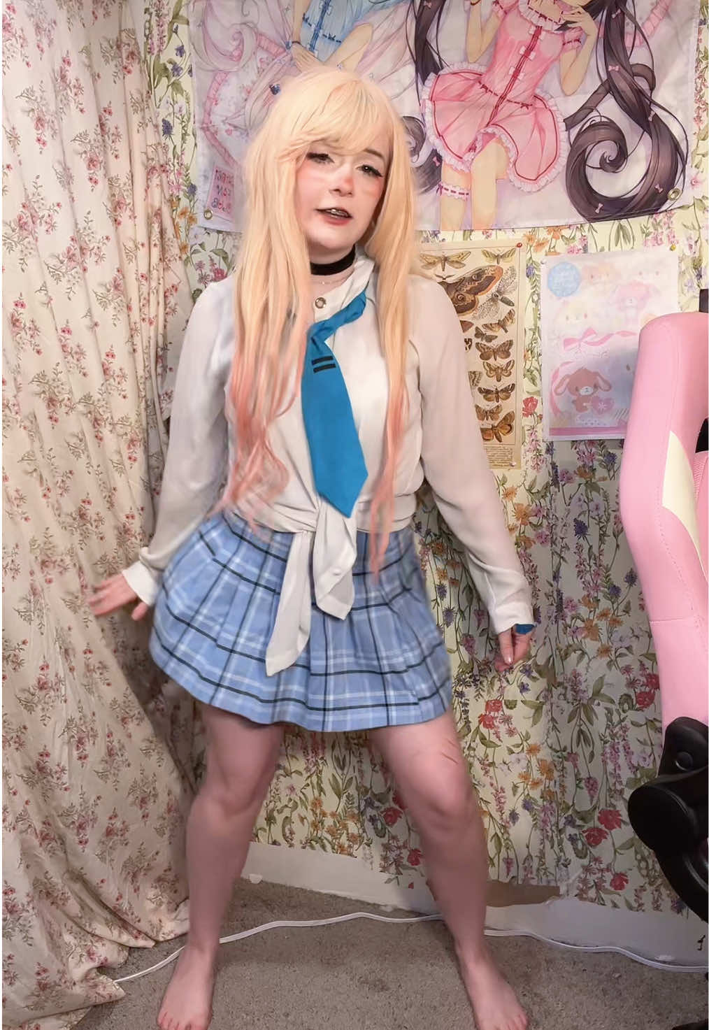 @≽^•⩊•^≼