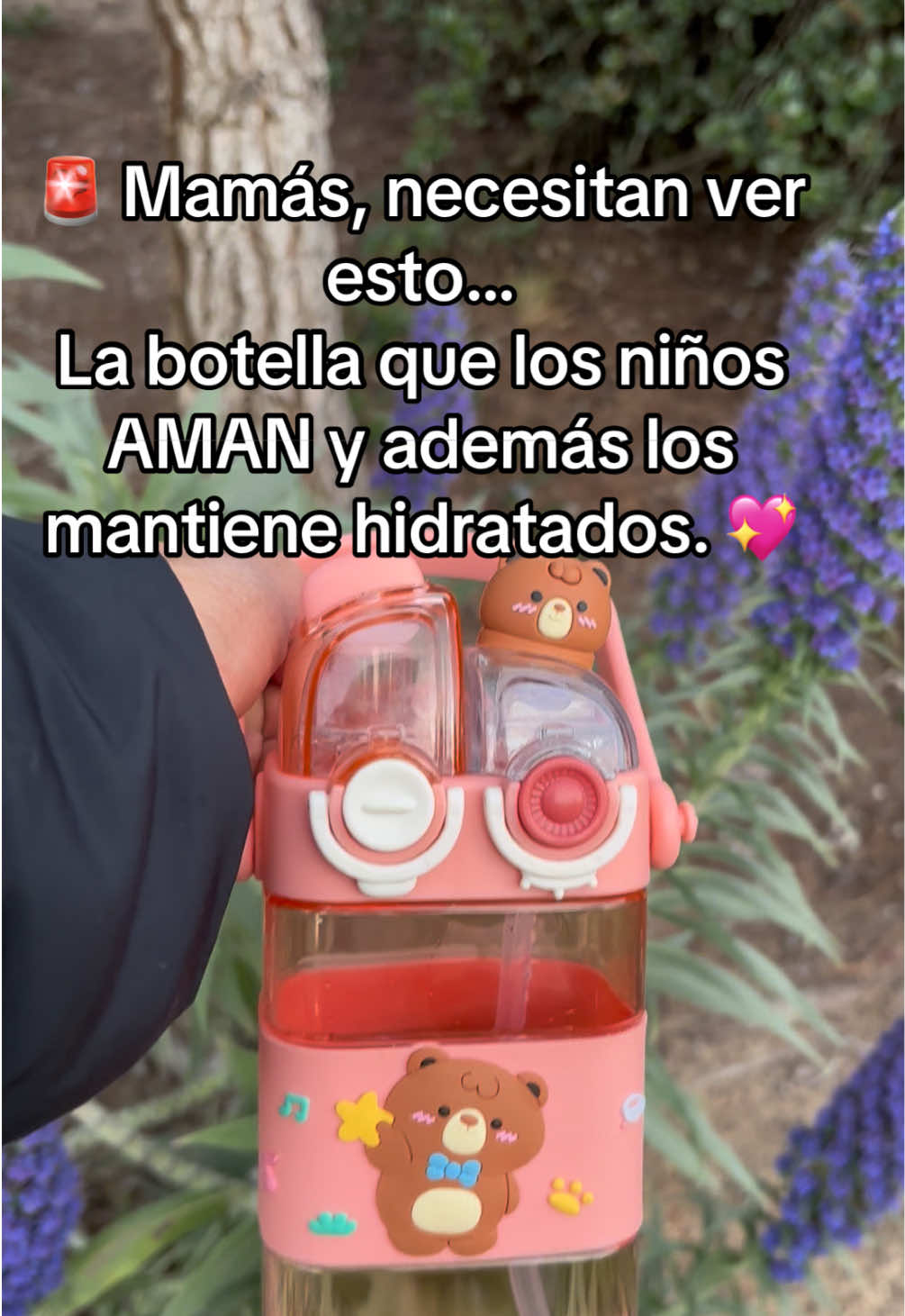 @🌸 Chuy🌸