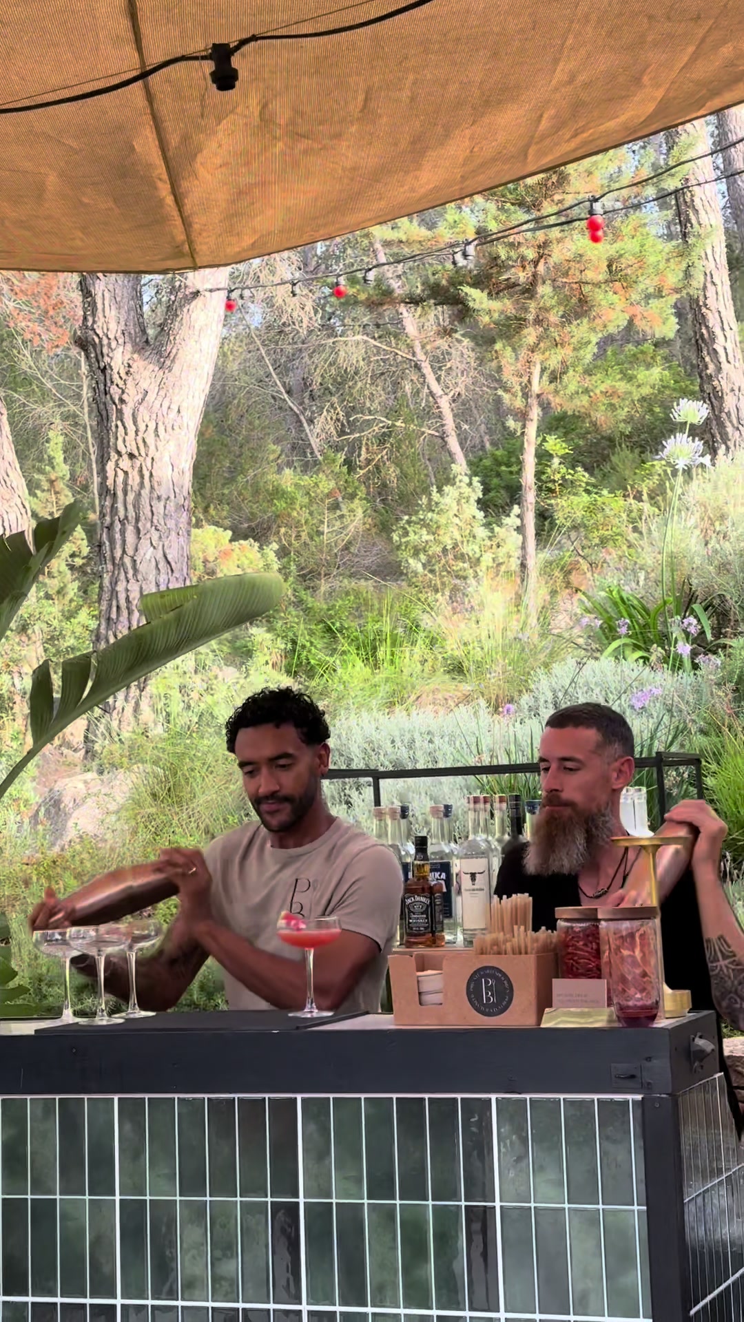 @Perfectly Balanced Ibiza