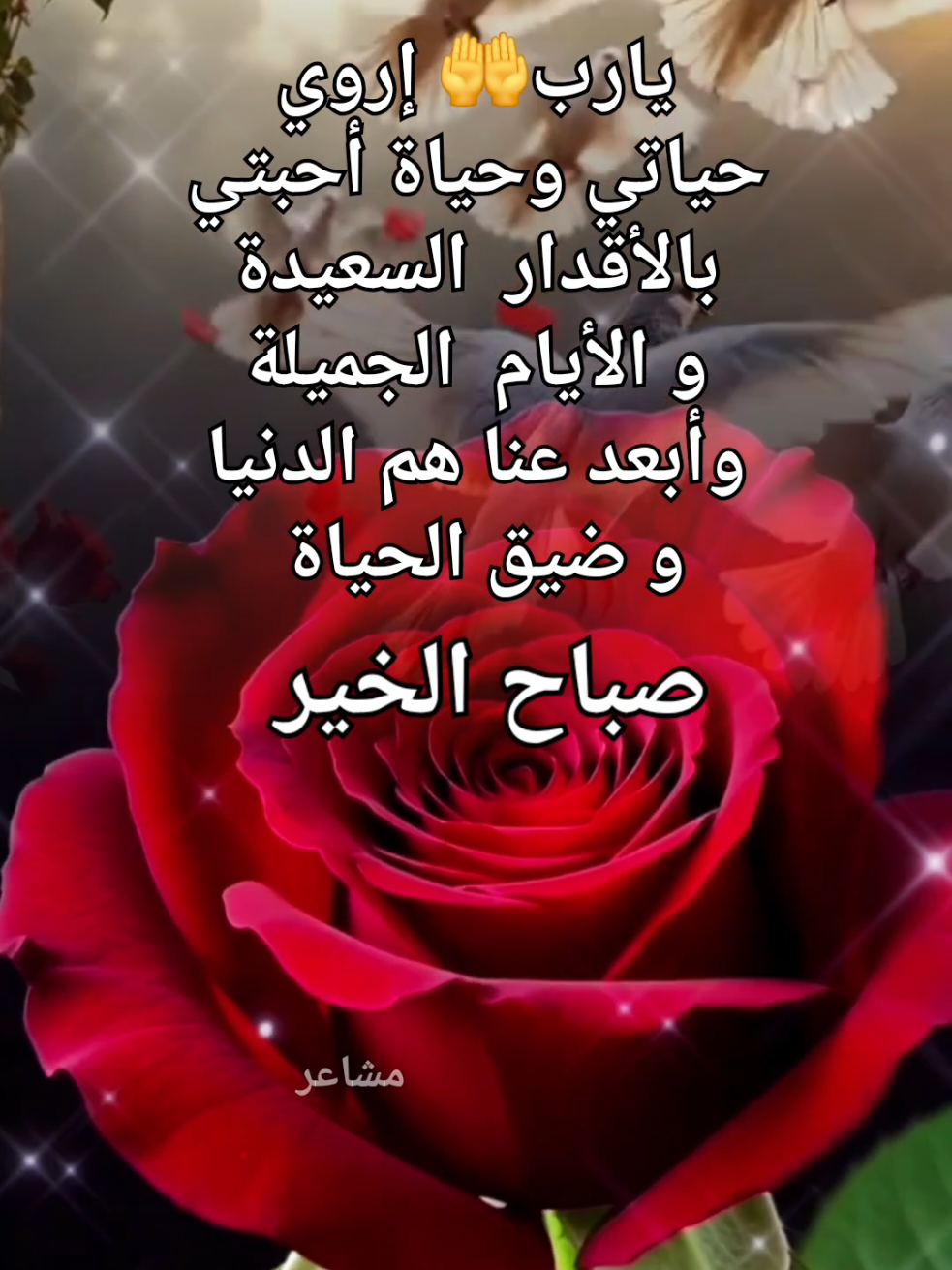 @مشاعر