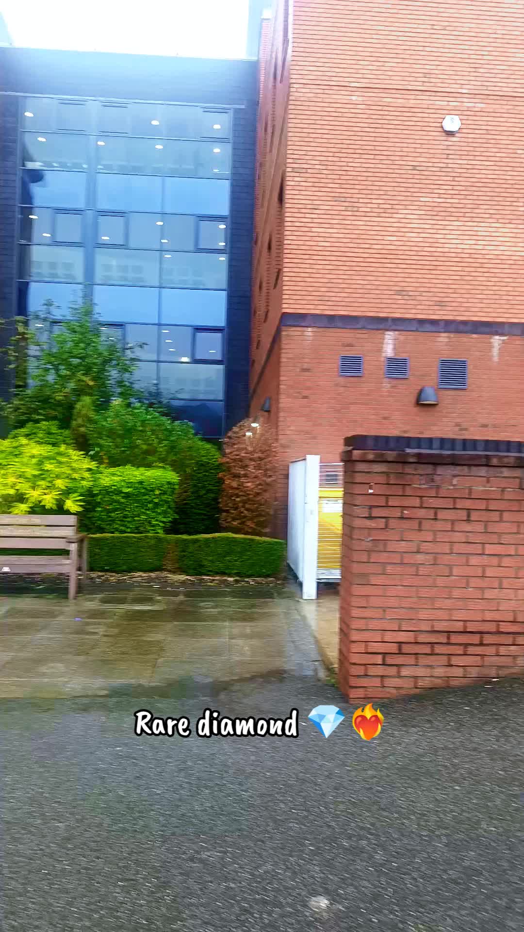 @Rare Diamond™ ð¬ð§ðµðž