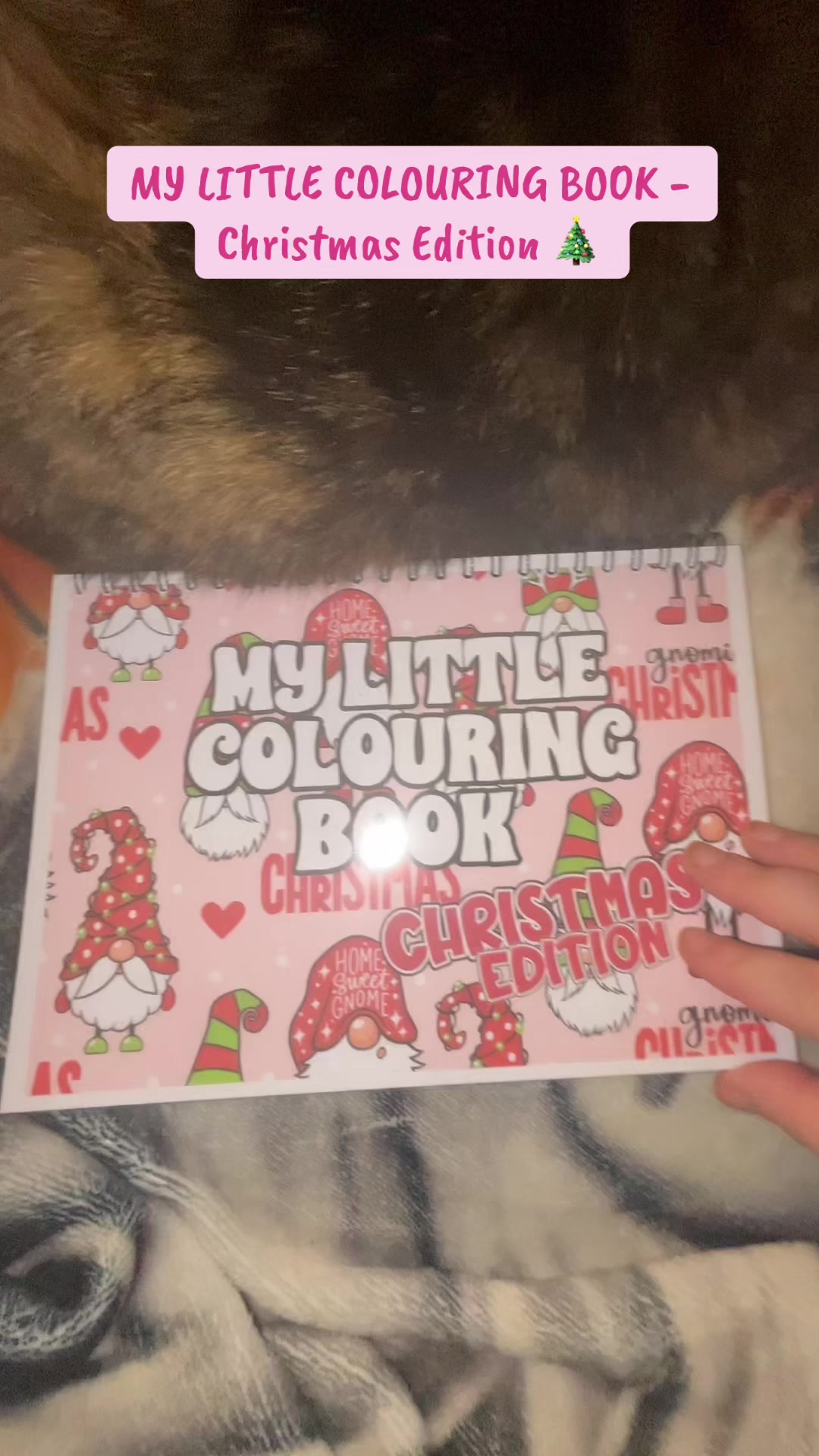 @Awesomepawsome2017